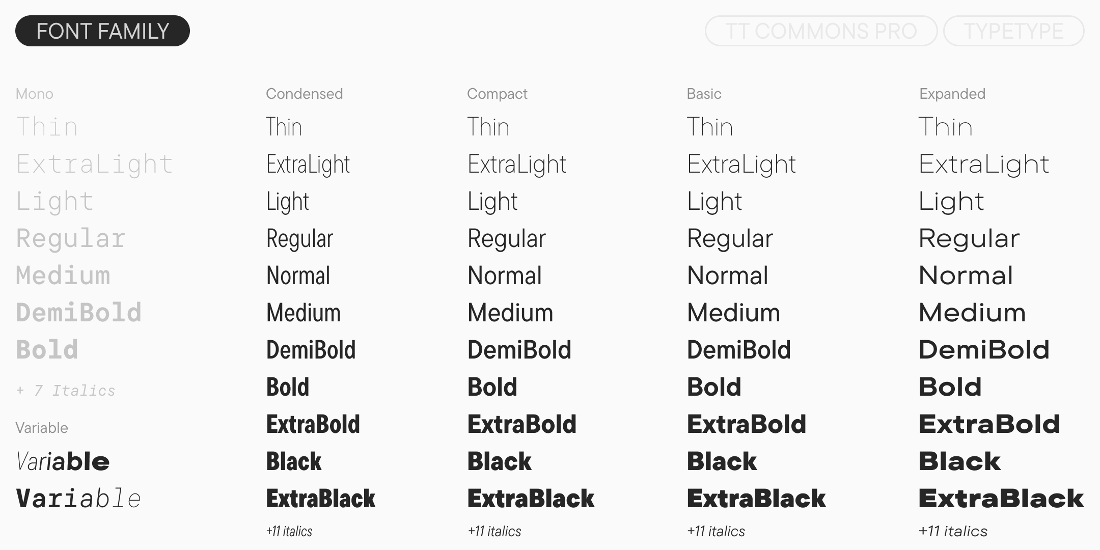 TT Commons™ Pro 2025 UPD — Изображение №4 — Графика на Dprofile