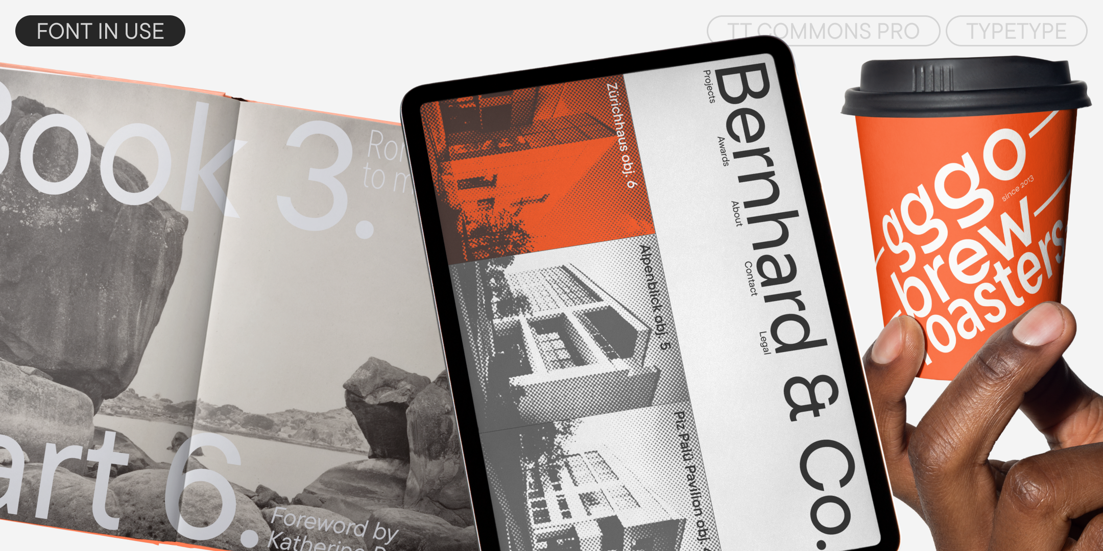 TT Commons™ Pro 2025 UPD — Изображение №2 — Графика на Dprofile