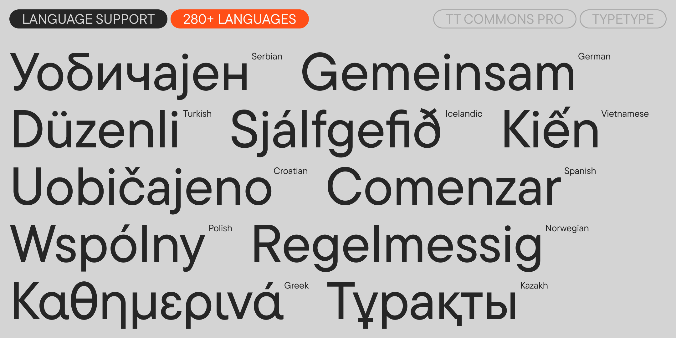 TT Commons™ Pro 2025 UPD — Изображение №7 — Графика на Dprofile