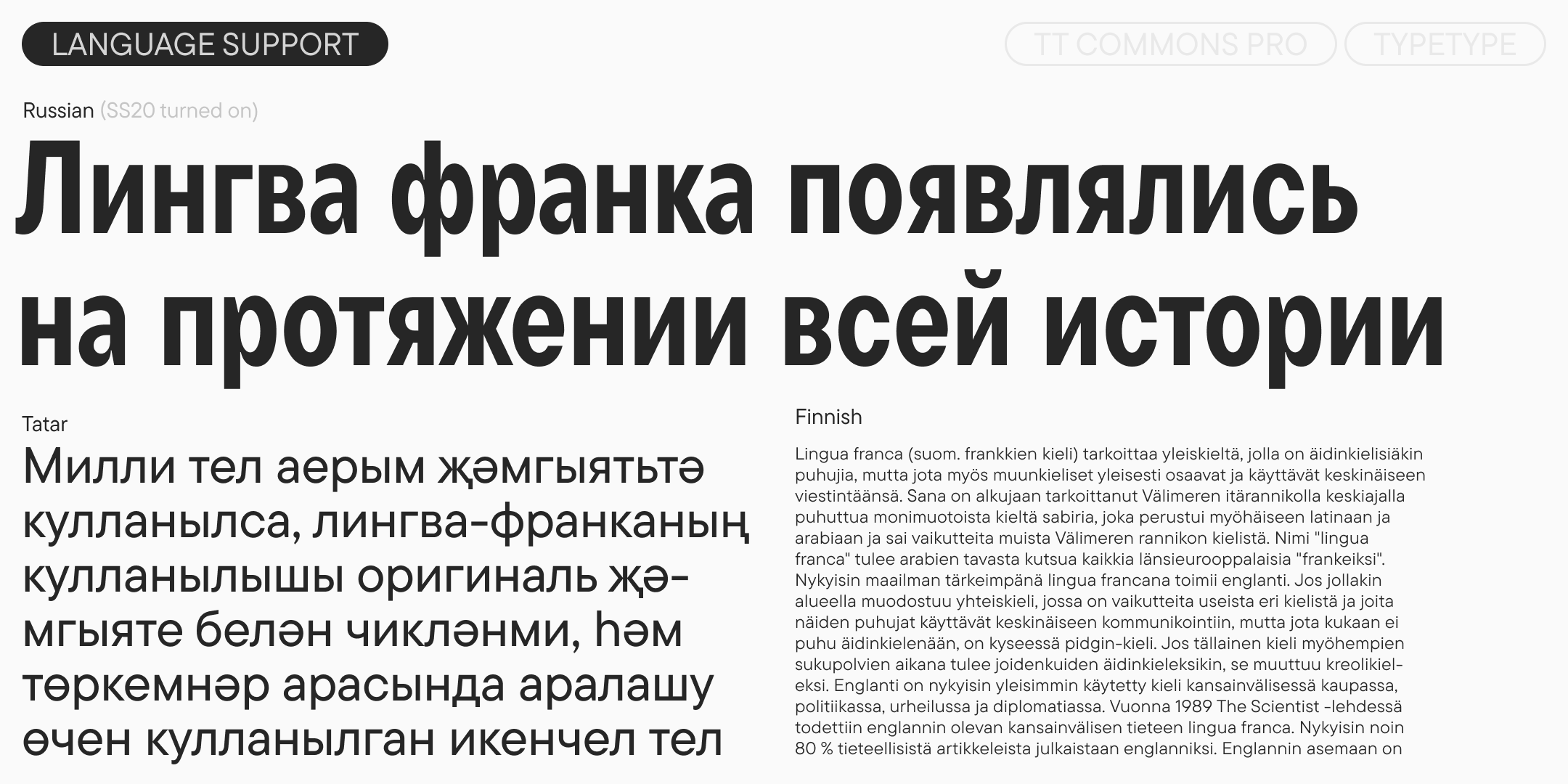 TT Commons™ Pro 2025 UPD — Изображение №8 — Графика на Dprofile