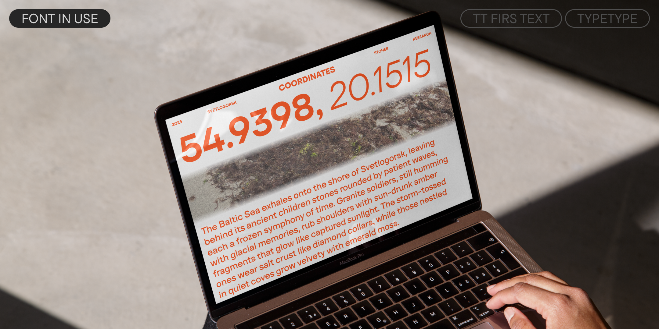 TT Firs Text 2025 UPD — Изображение №6 — Графика на Dprofile