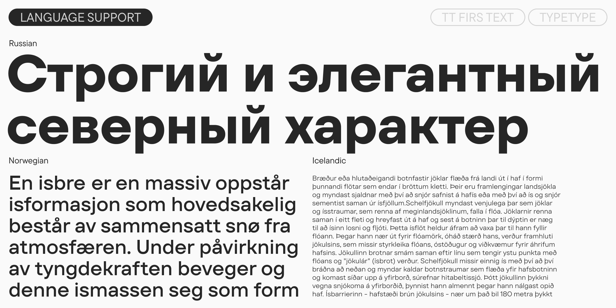 TT Firs Text 2025 UPD — Изображение №8 — Графика на Dprofile
