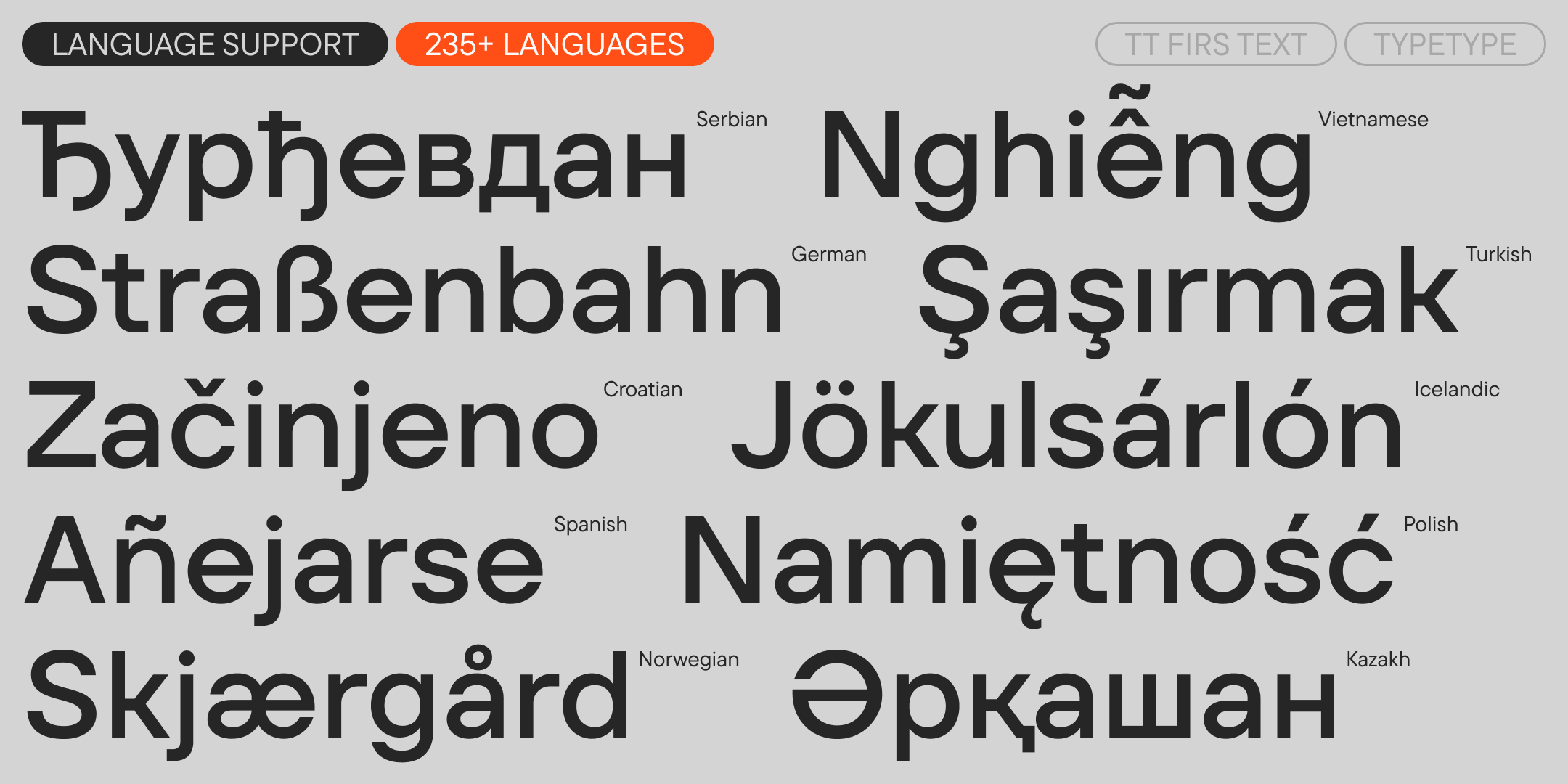 TT Firs Text 2025 UPD — Изображение №7 — Графика на Dprofile