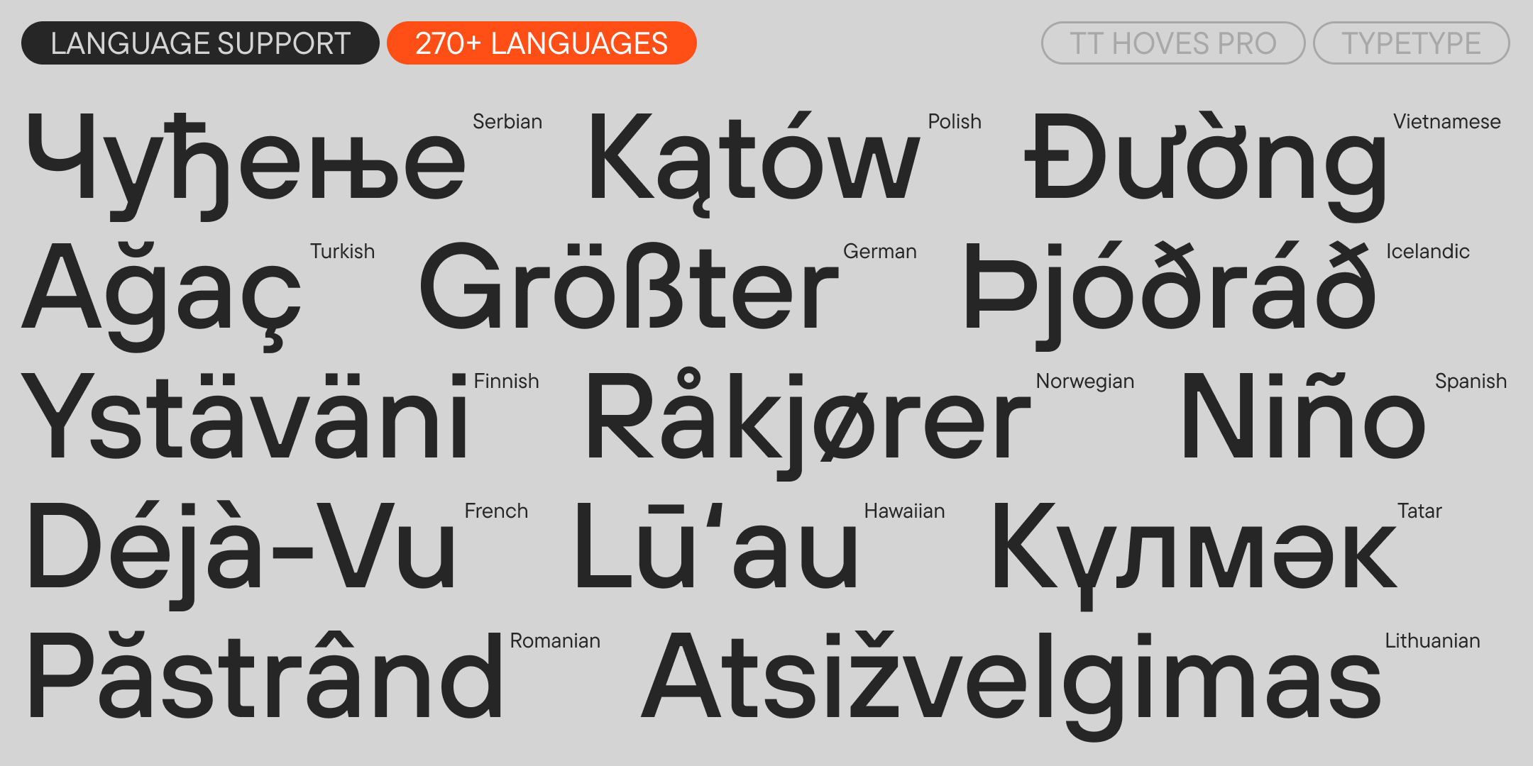 TT Hoves Pro UPD 2025 — Изображение №7 — Графика на Dprofile