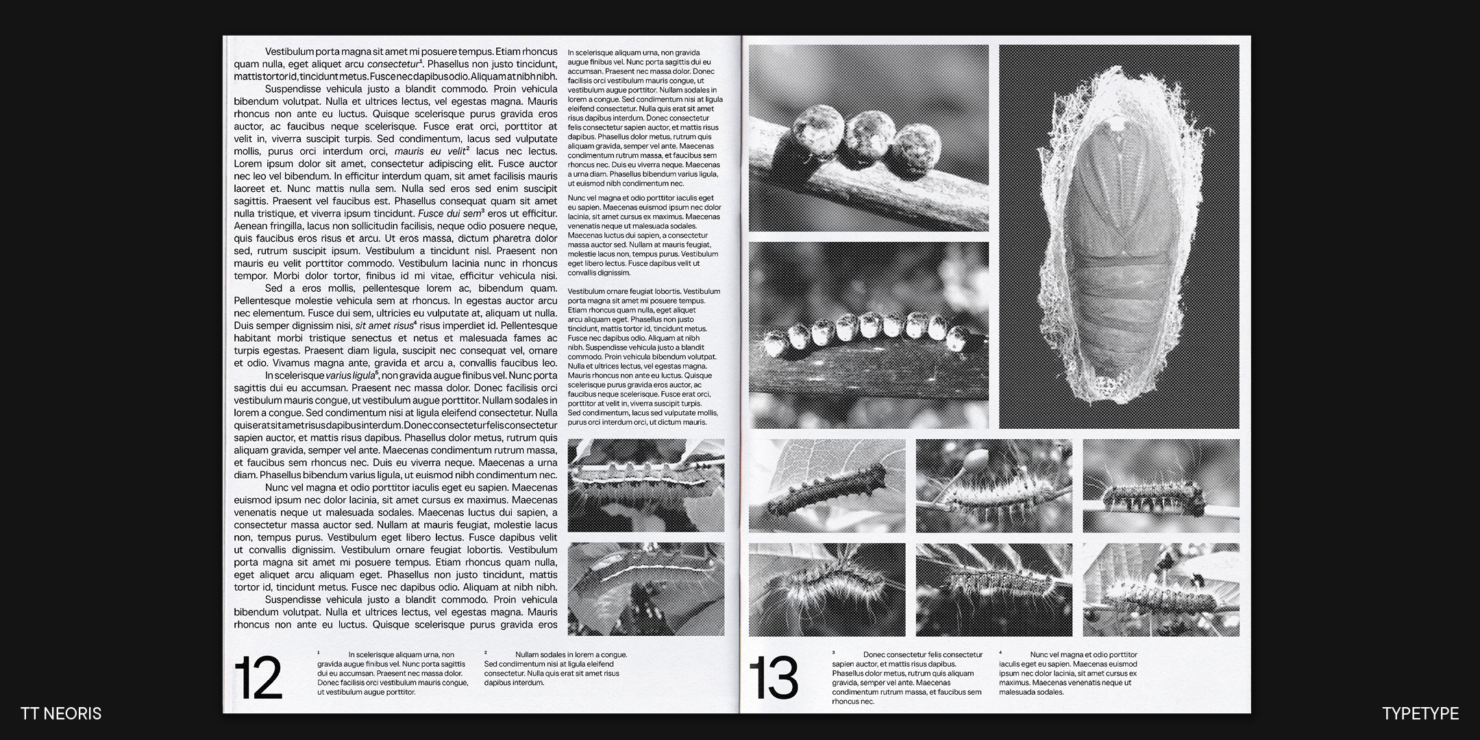 TT Neoris NEW FONT — Изображение №29 — Графика на Dprofile