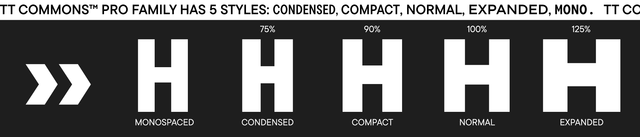 TT Commons™ Pro 2023 UPD — Изображение №7 — Графика на Dprofile