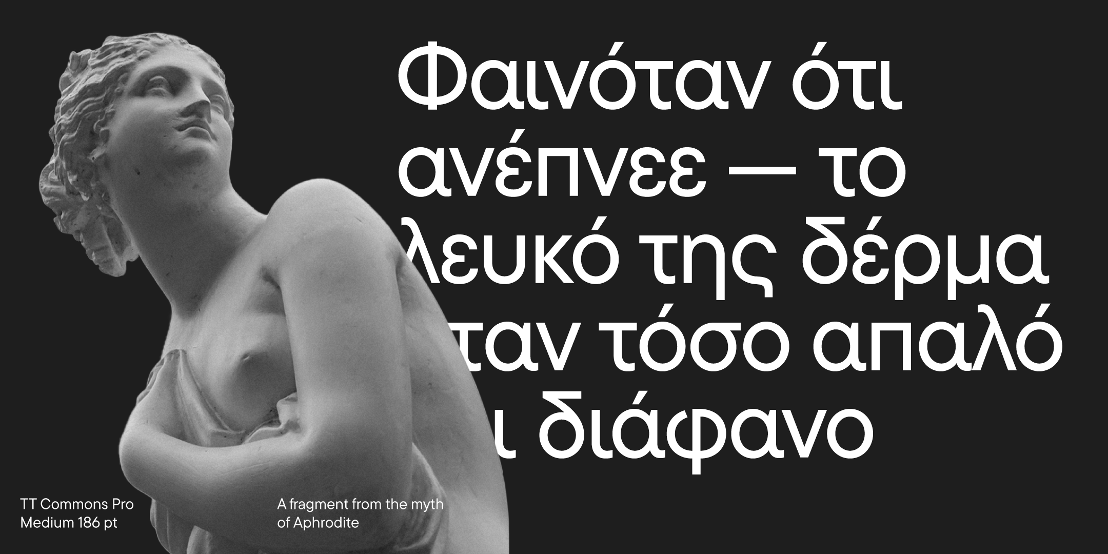 TT Commons™ Pro 2023 UPD — Изображение №17 — Графика на Dprofile