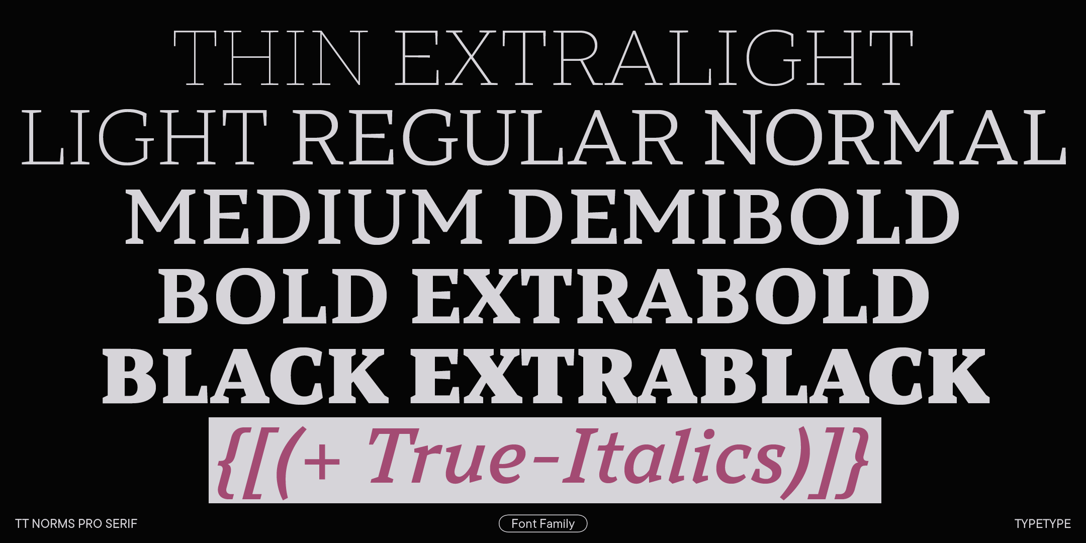 TT Norms® Pro Serif 2023 UPD — Изображение №2 — Графика на Dprofile