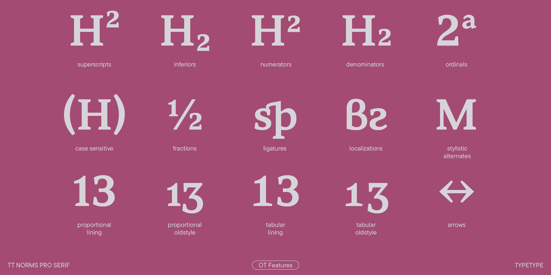 TT Norms® Pro Serif 2023 UPD — Изображение №14 — Графика на Dprofile
