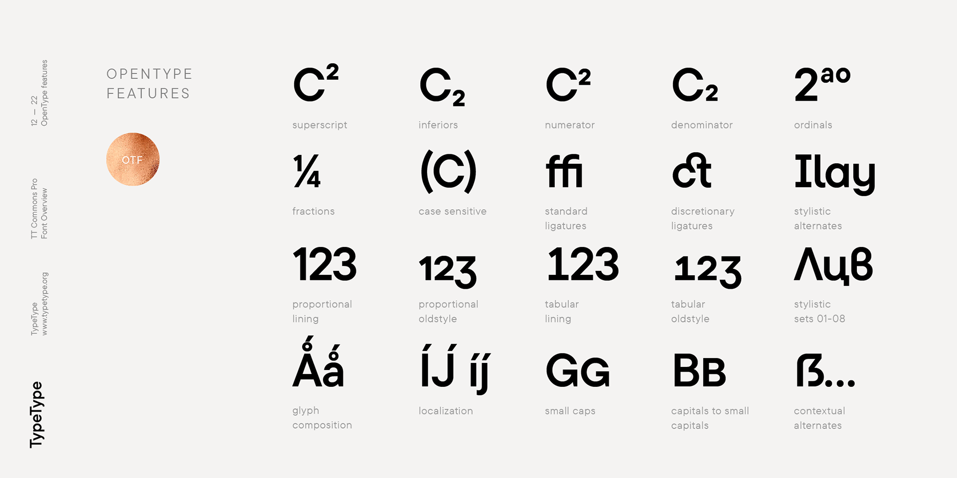 TT Commons™ Pro — Изображение №12 — Графика на Dprofile