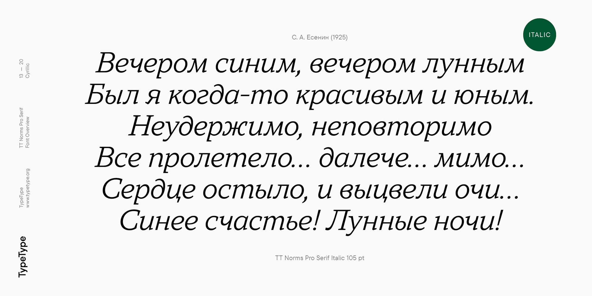 TT Norms® Pro Serif — Изображение №13 — Графика на Dprofile