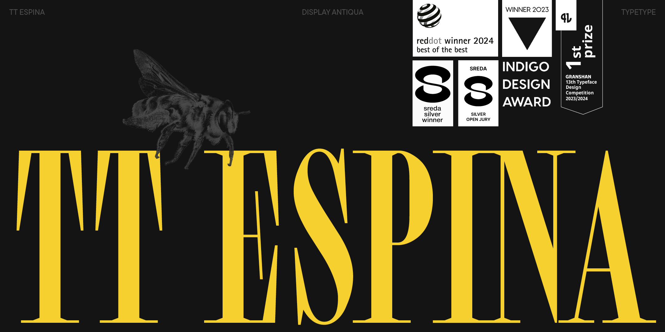 TT Espina 2024 UPD — Изображение №1 — Графика на Dprofile