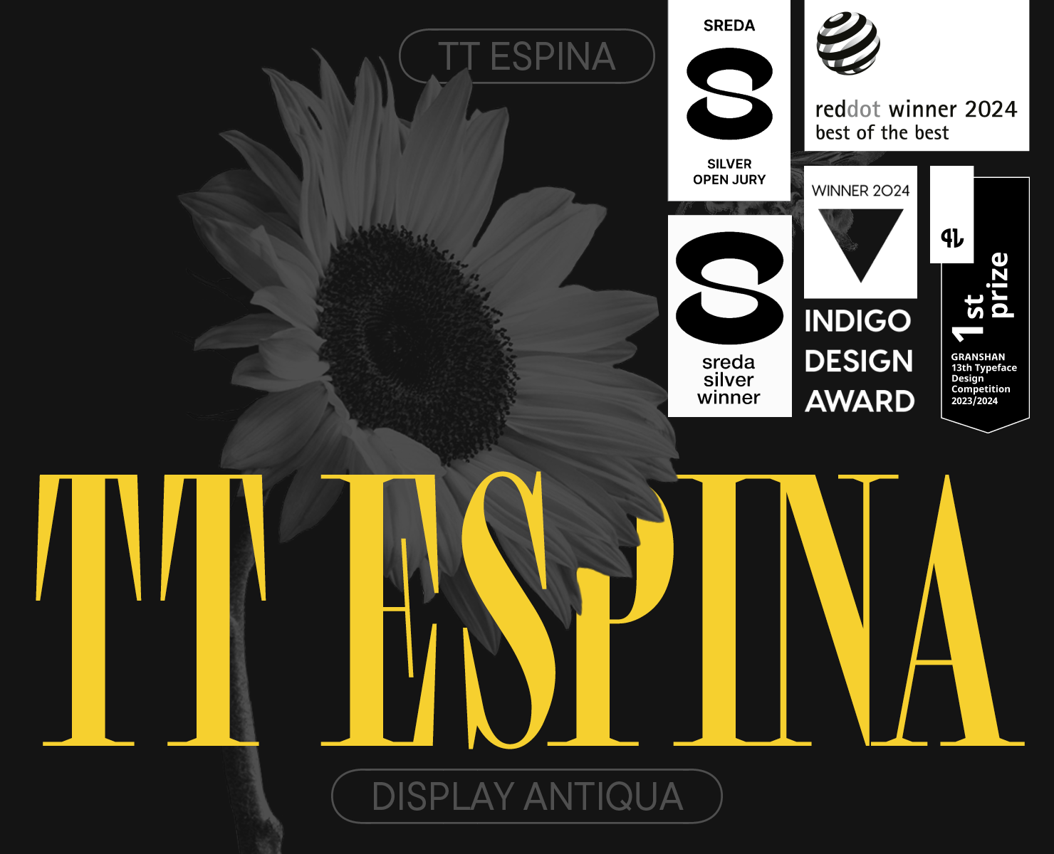 TT Espina 2024 UPD — Графика на Dprofile