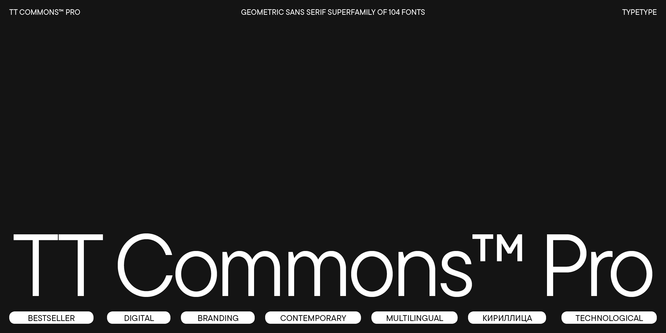 TT Commons™ Pro 2024 UPD — Изображение №1 — Графика на Dprofile
