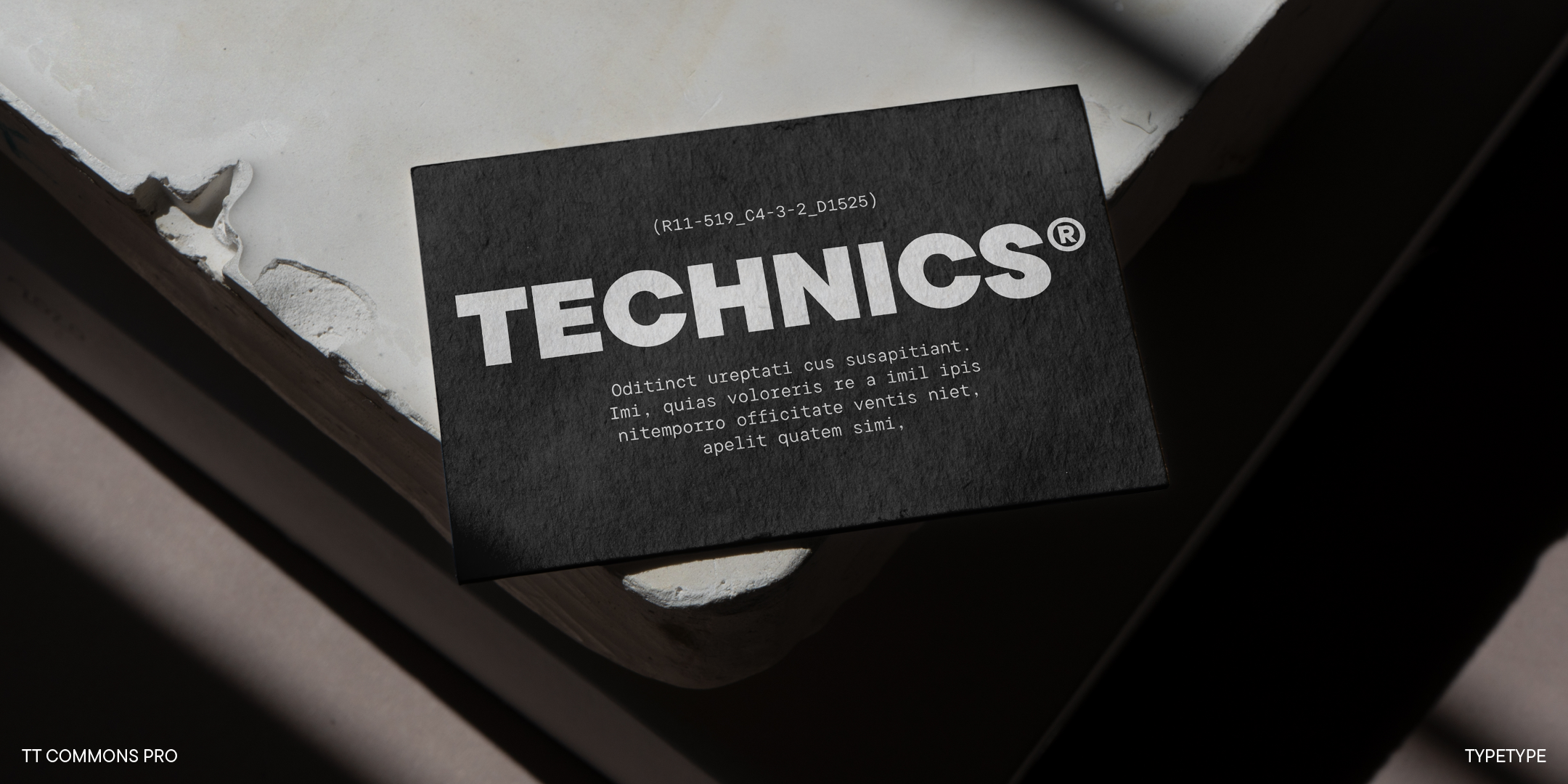 TT Commons™ Pro 2024 UPD — Изображение №26 — Графика на Dprofile