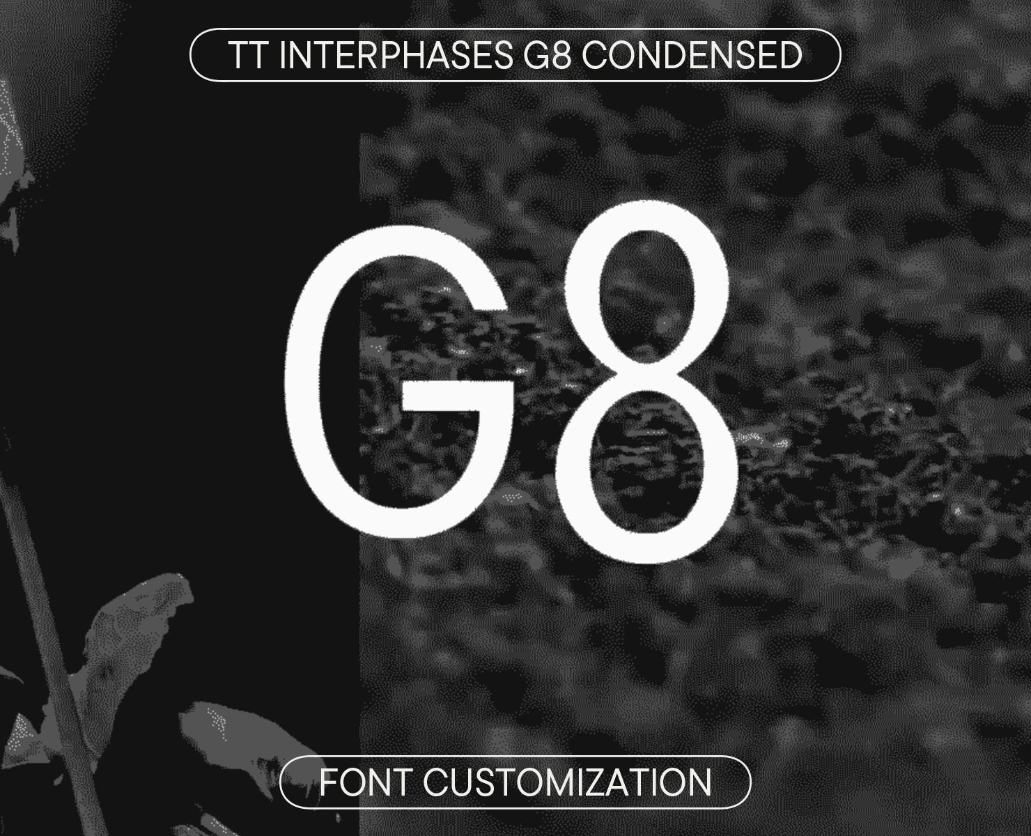 TT Interphases G8 Condensed на Dprofile