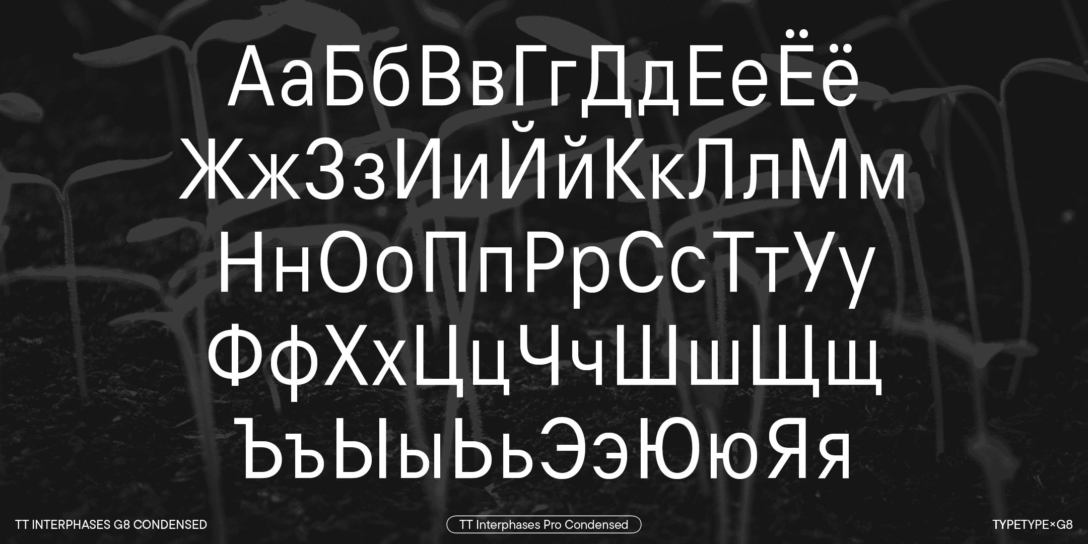 TT Interphases G8 Condensed — Изображение №5 — Графика на Dprofile