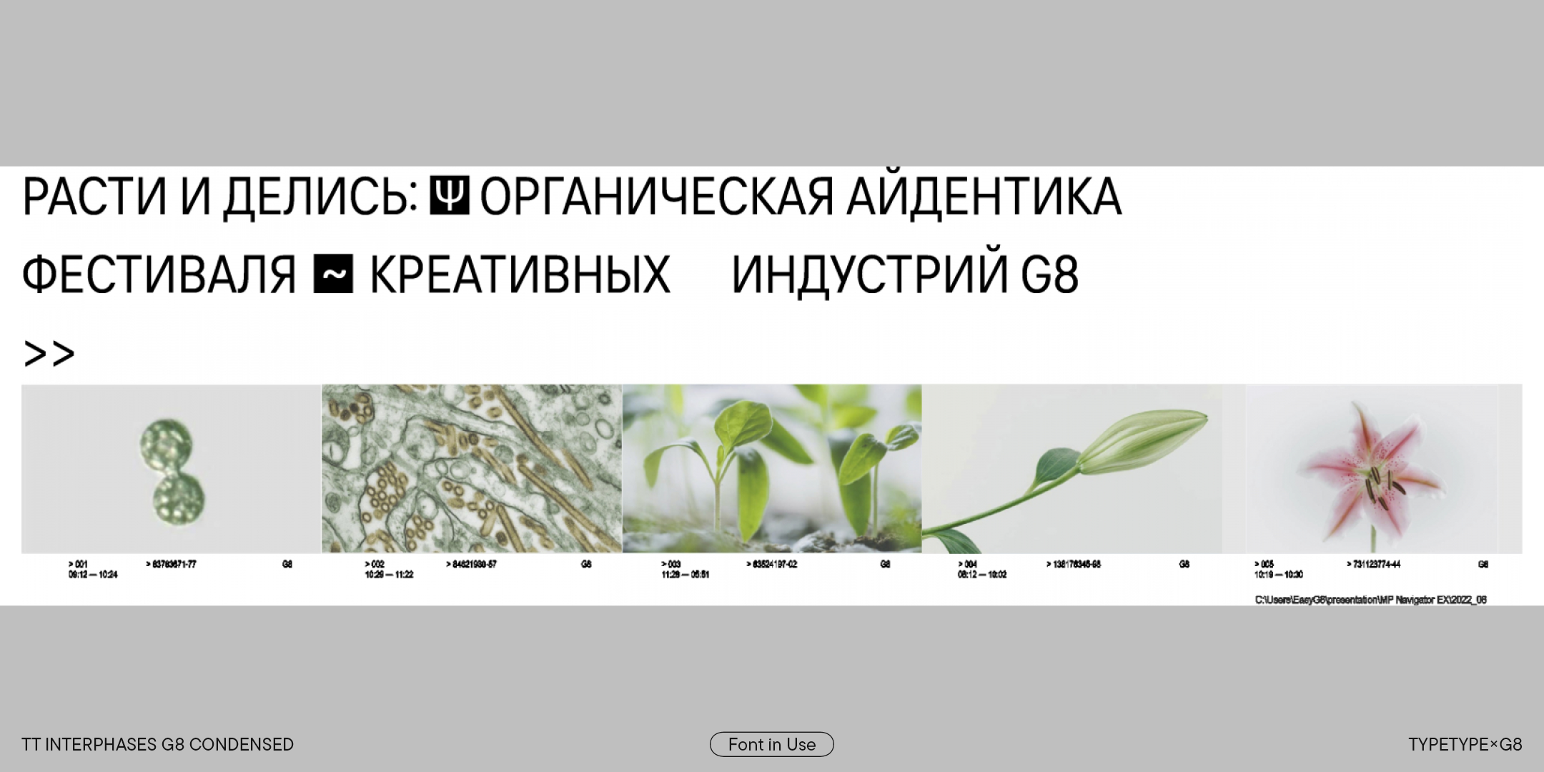 TT Interphases G8 Condensed — Изображение №2 — Графика на Dprofile