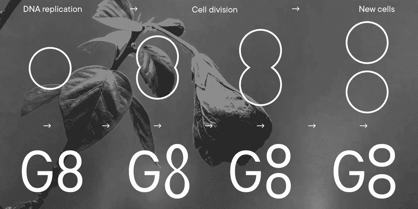 TT Interphases G8 Condensed — Изображение №10 — Графика на Dprofile