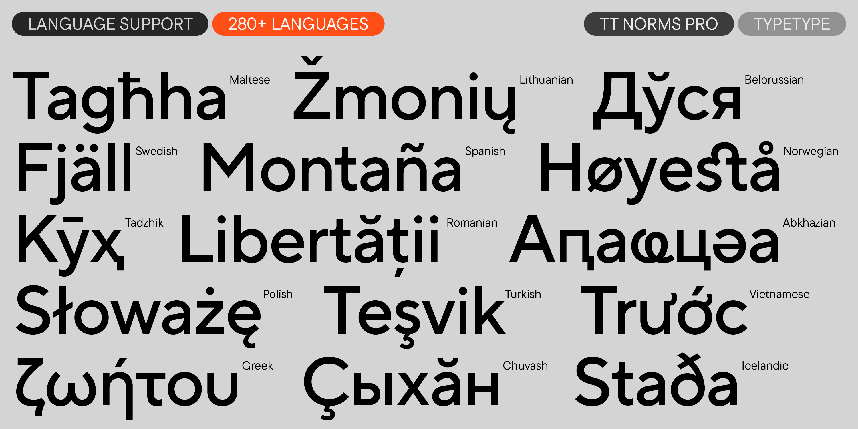 TT Norms Pro 2024 UPD — Изображение №7 — Графика на Dprofile