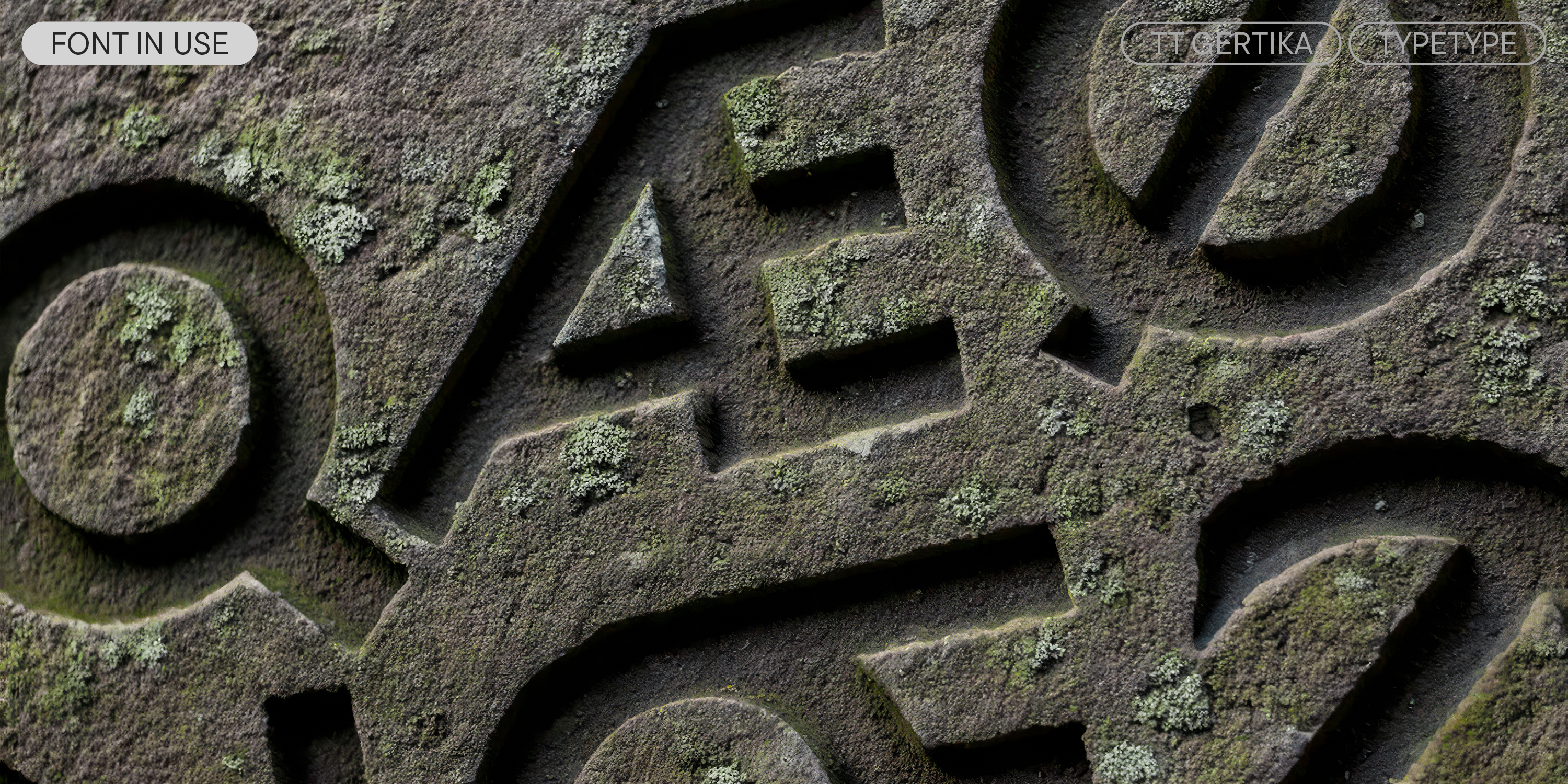 TT Gertika — Изображение №13 — Графика на Dprofile