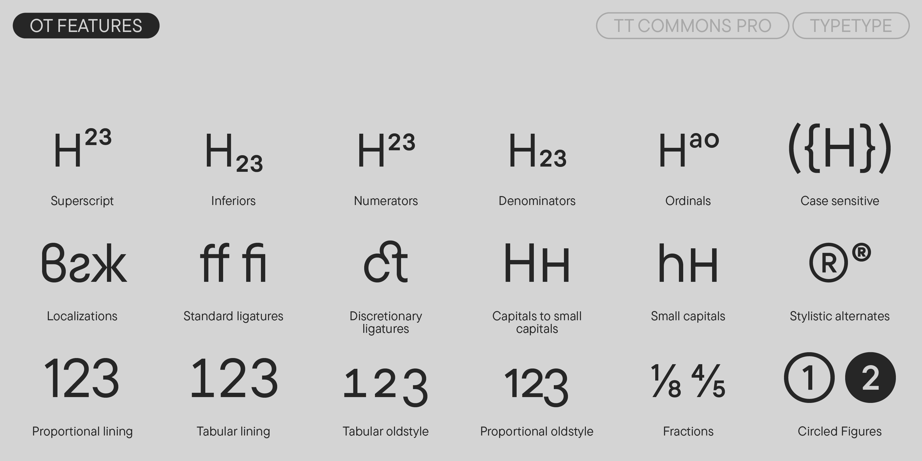 TT Commons Pro UPD 2024 — Изображение №12 — Графика на Dprofile