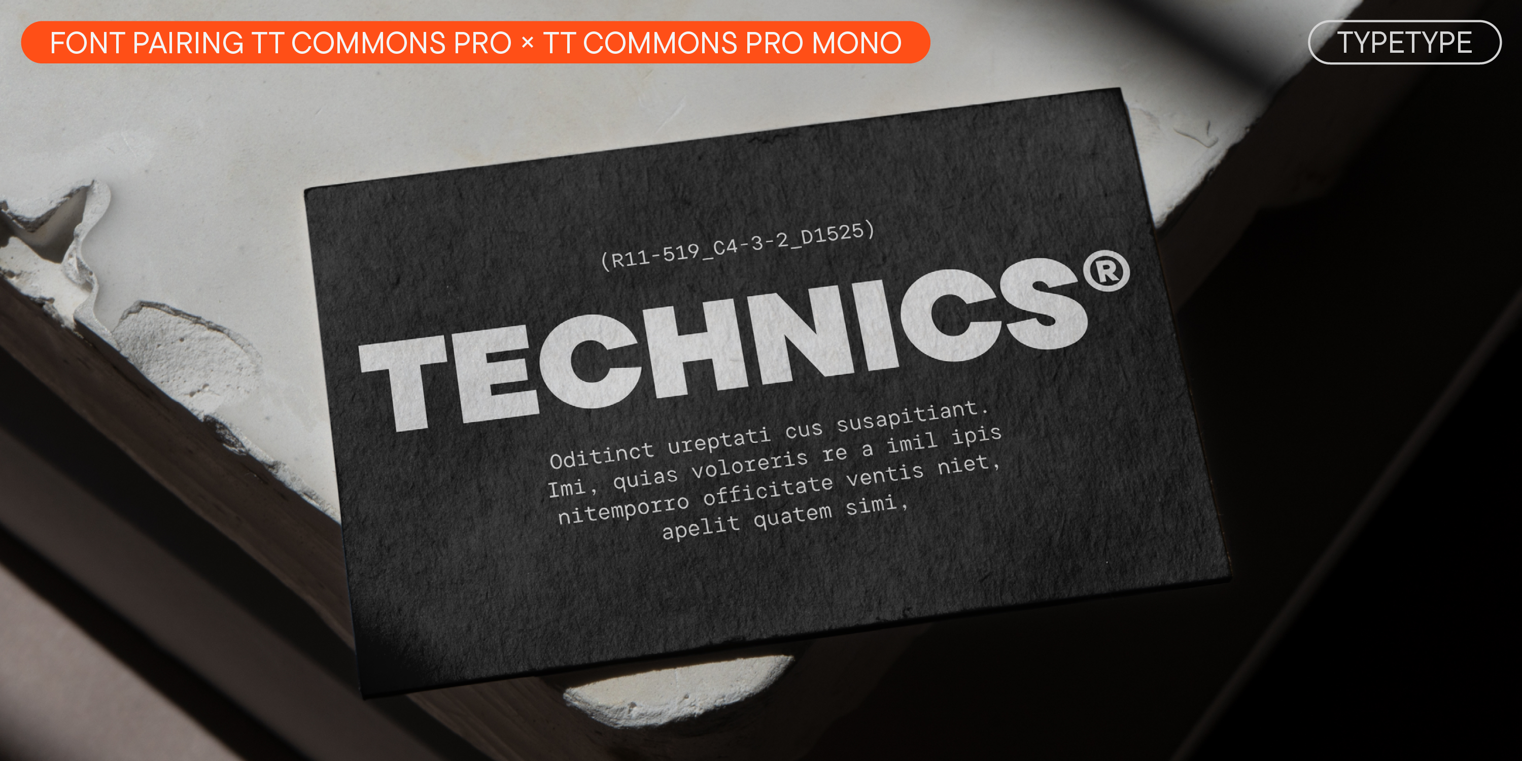 TT Commons Pro UPD 2024 — Изображение №20 — Графика на Dprofile