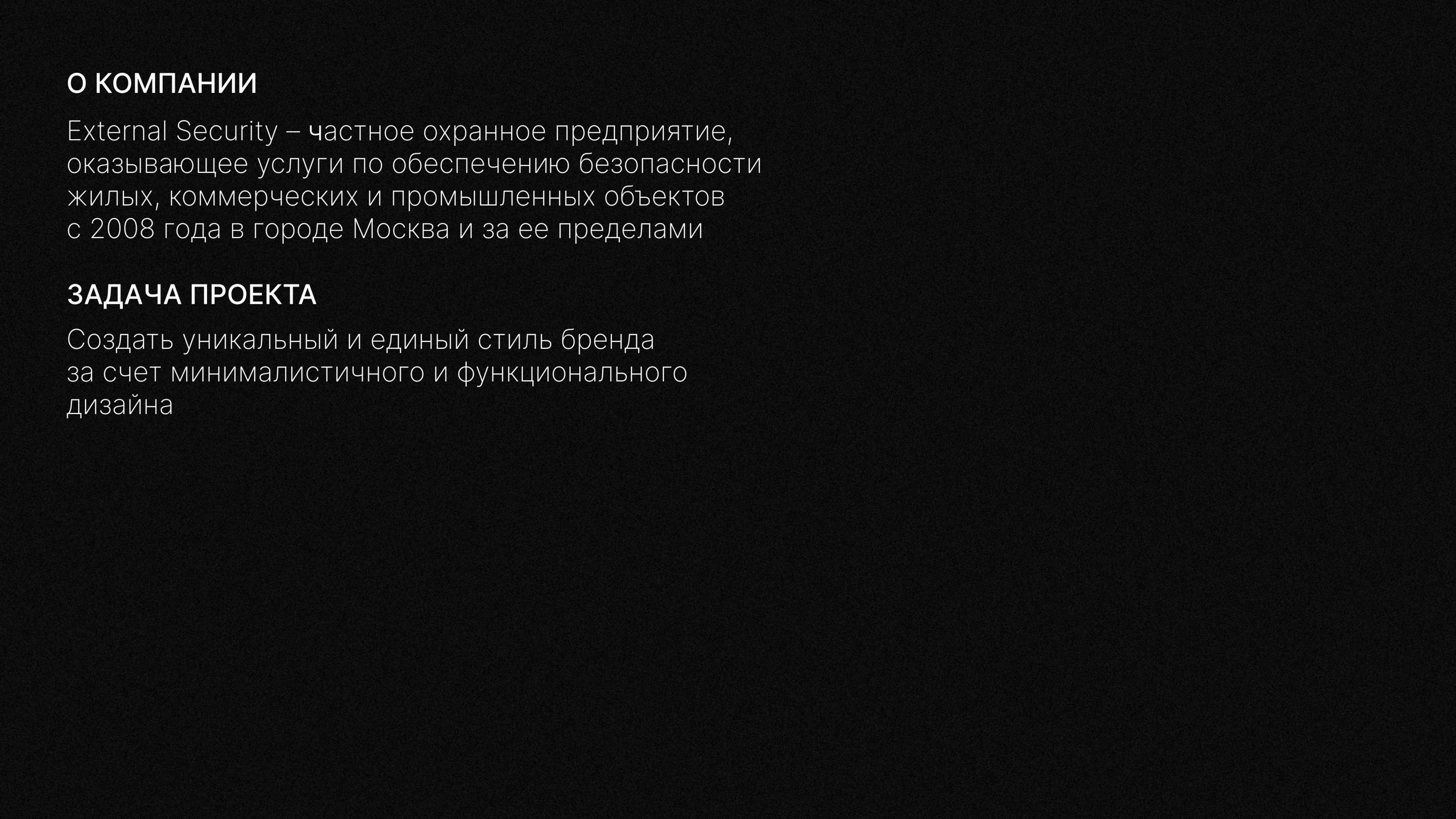 Branding | External Security — Изображение №2 — Брендинг на Dprofile