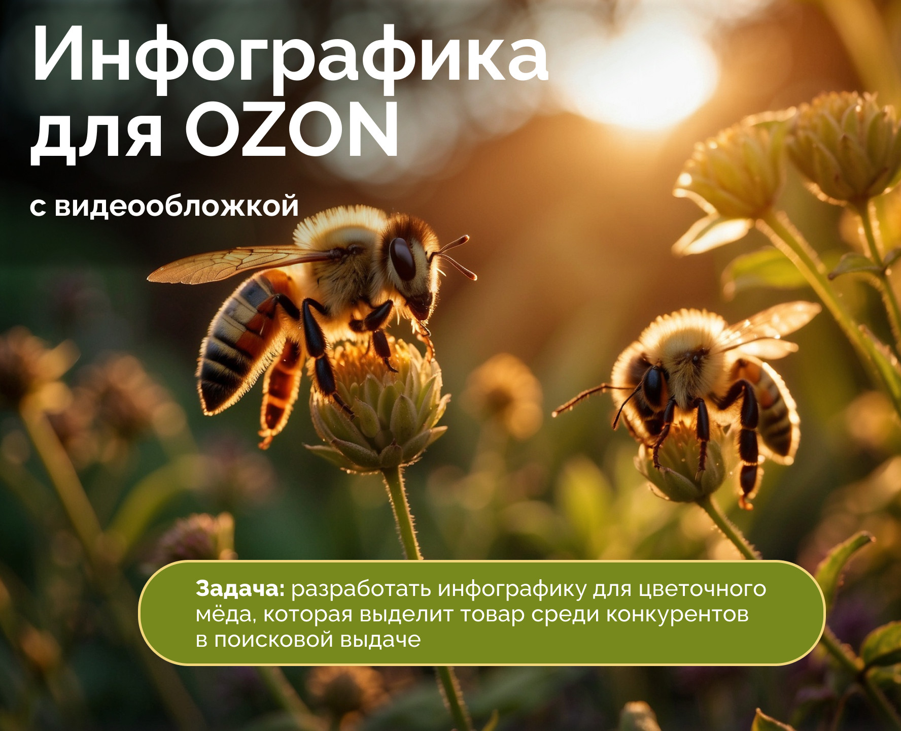 Дизайн карточки товара для Ozon — Графика, Маркетинг на Dprofile