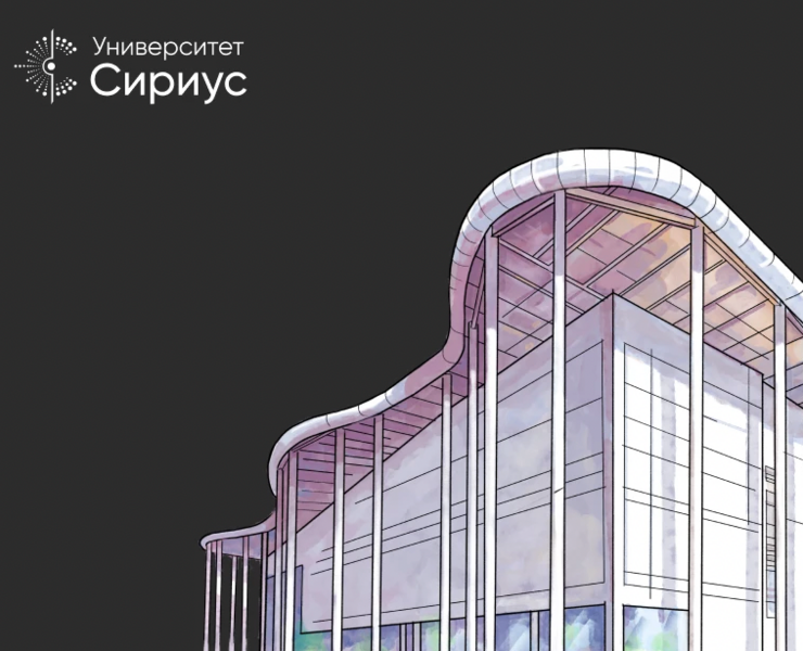 Sirius University - Brand Identity — Брендинг, Иллюстрация, Графика на Dprofile