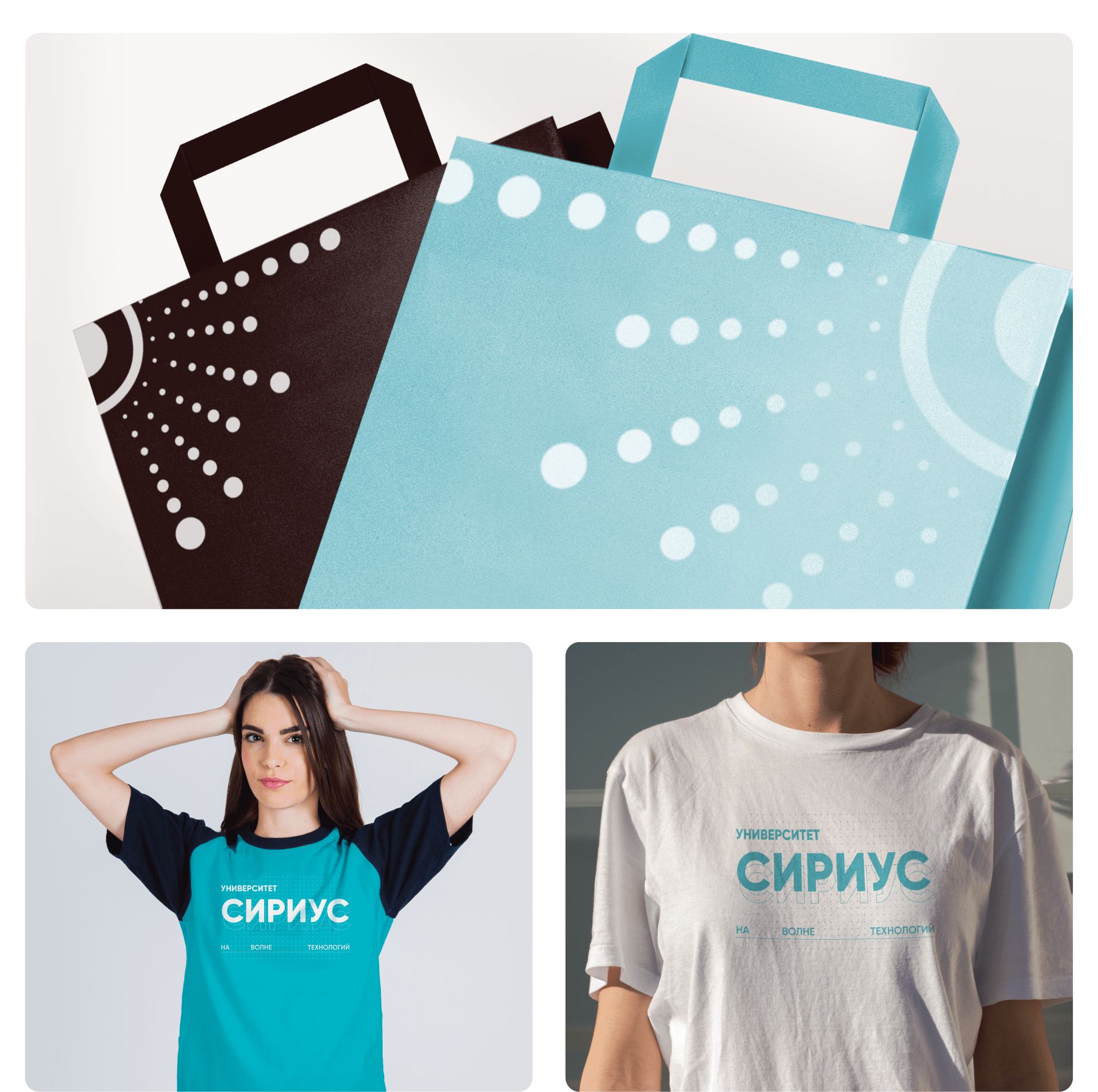 Sirius University - Brand Identity — Изображение №7 — Брендинг, Иллюстрация, Графика на Dprofile