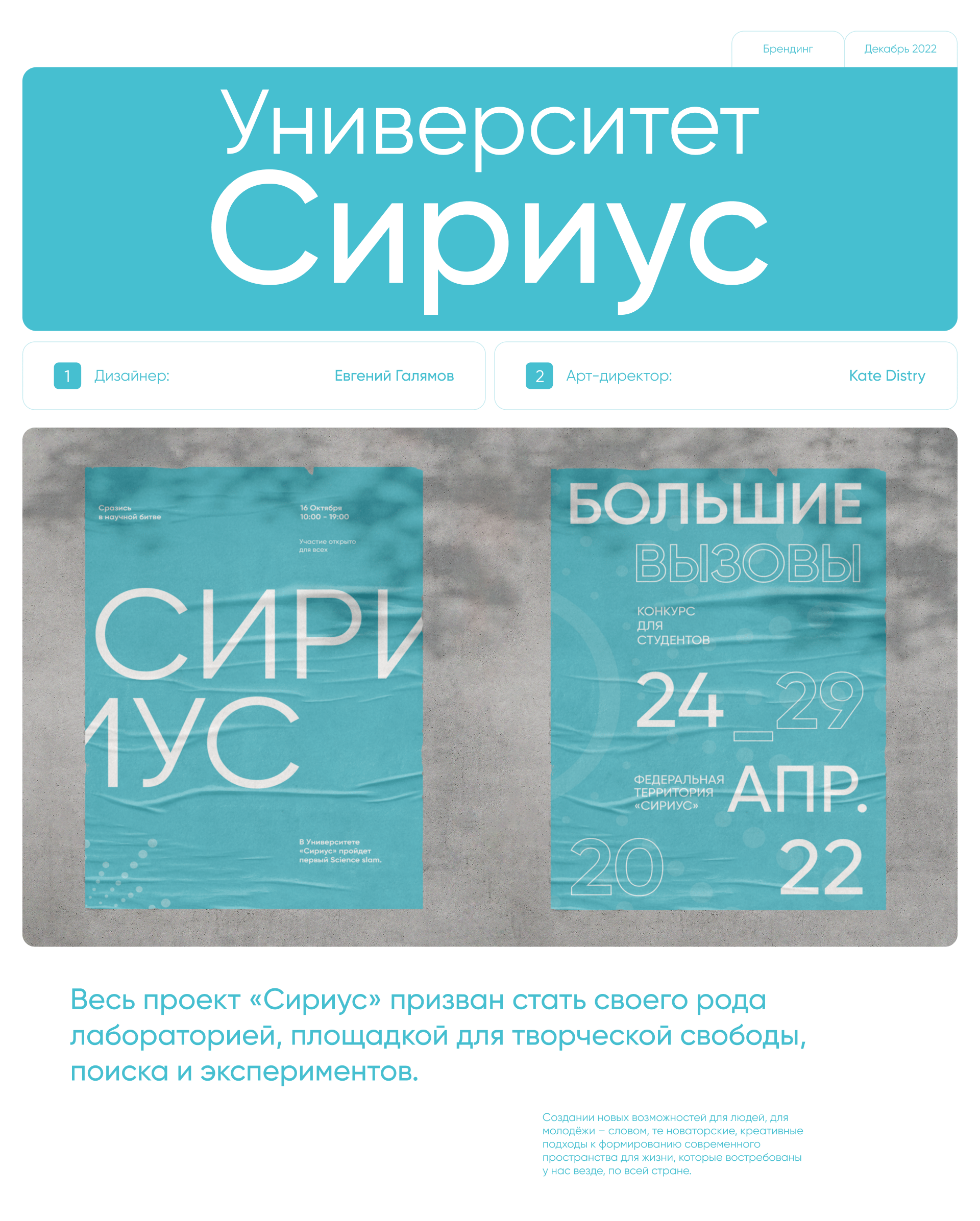 Sirius University - Brand Identity — Изображение №1 — Брендинг, Иллюстрация, Графика на Dprofile