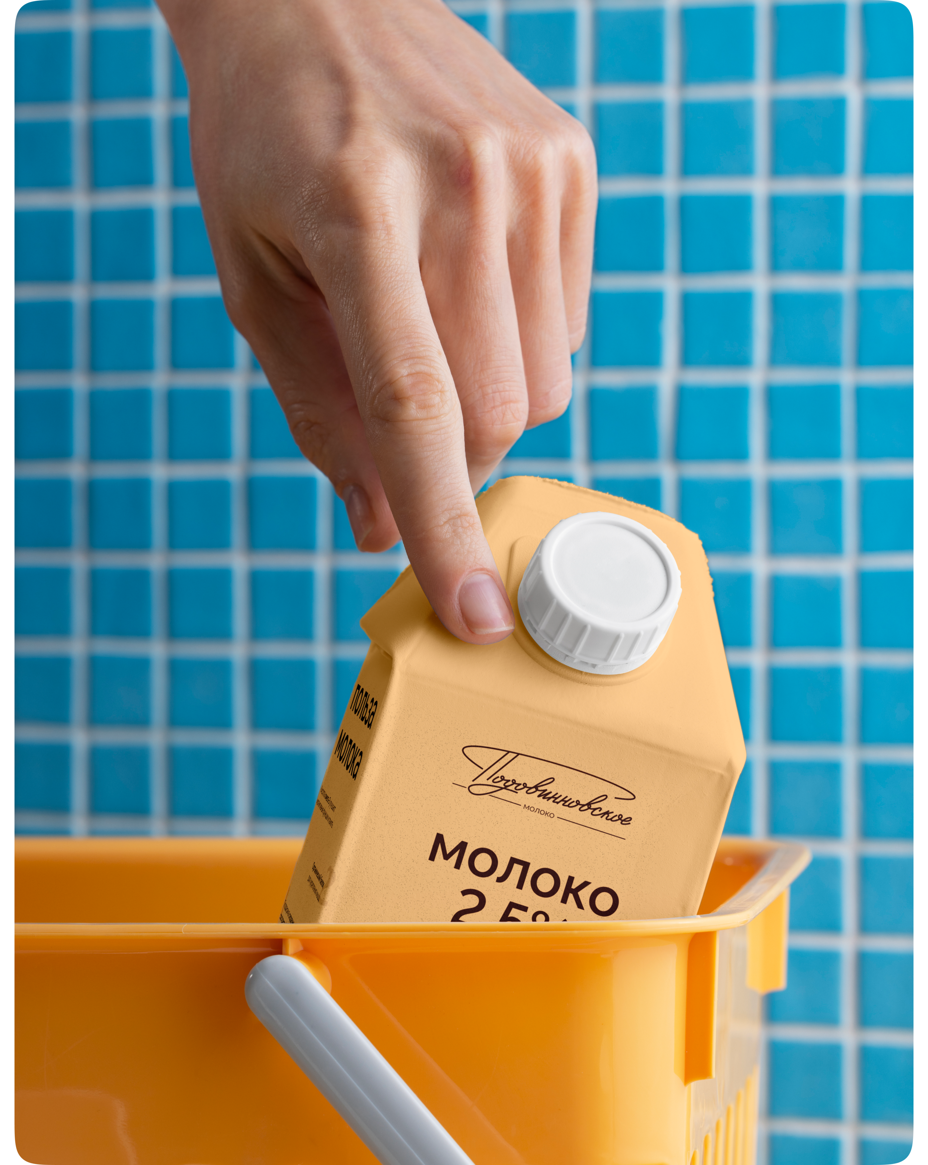 Упаковка молочной продукции — Изображение №3 — Брендинг на Dprofile