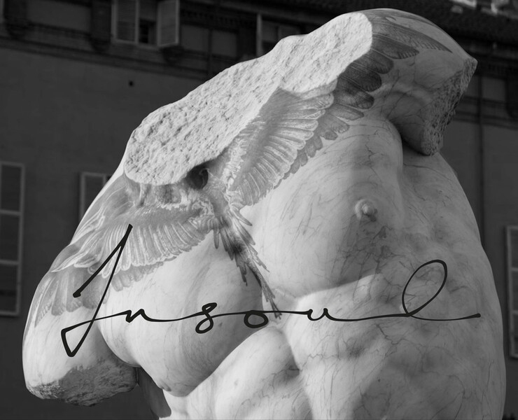 Брендинг Insoul — Брендинг на Dprofile