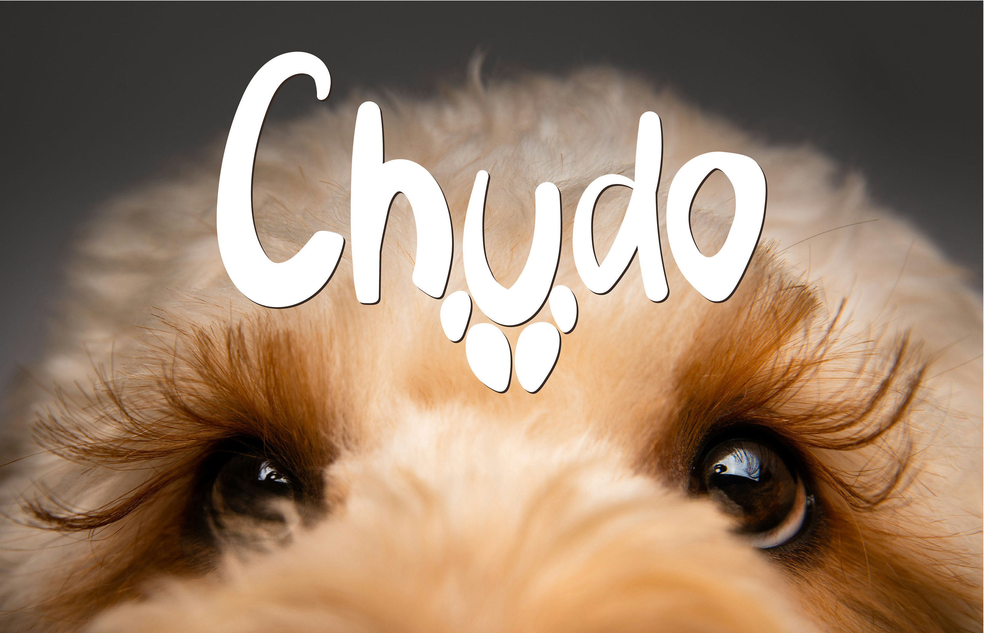 CHUDO — Изображение №1 — Брендинг на Dprofile