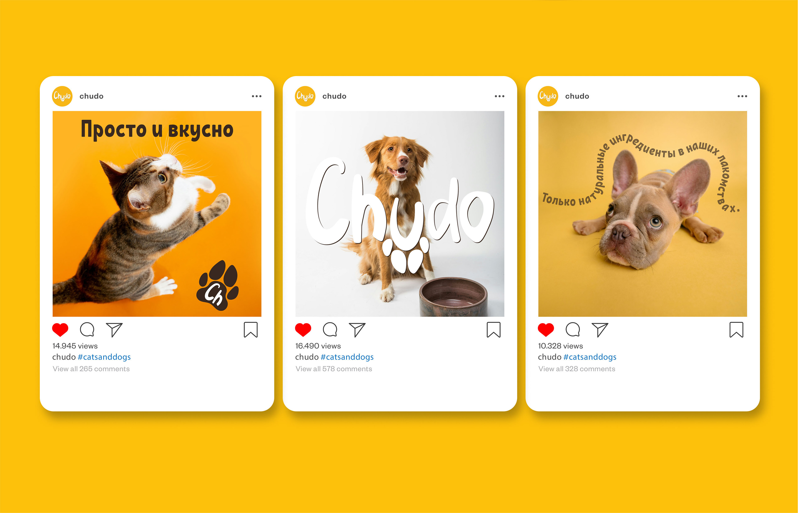 CHUDO — Изображение №10 — Брендинг на Dprofile