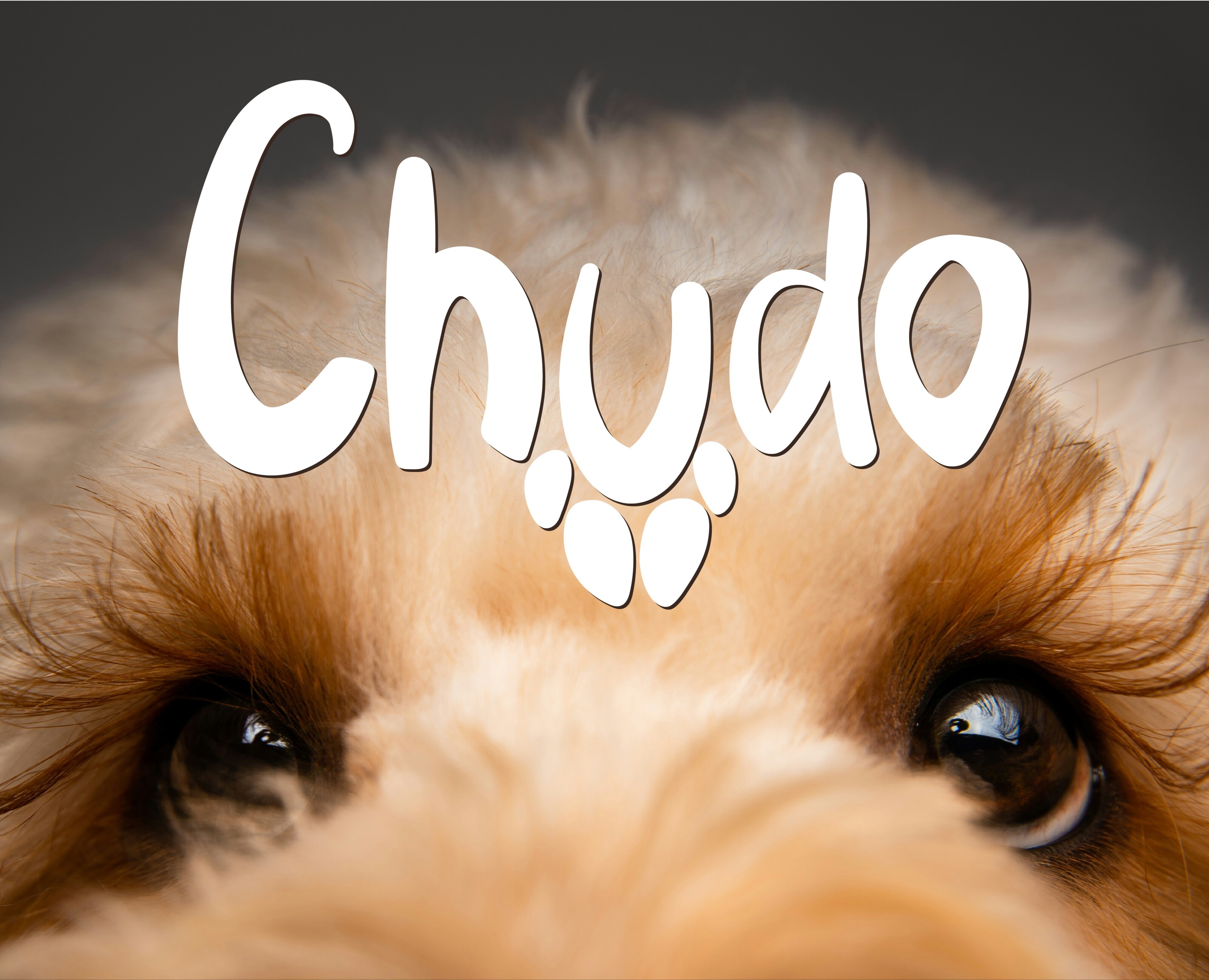 CHUDO — Брендинг на Dprofile
