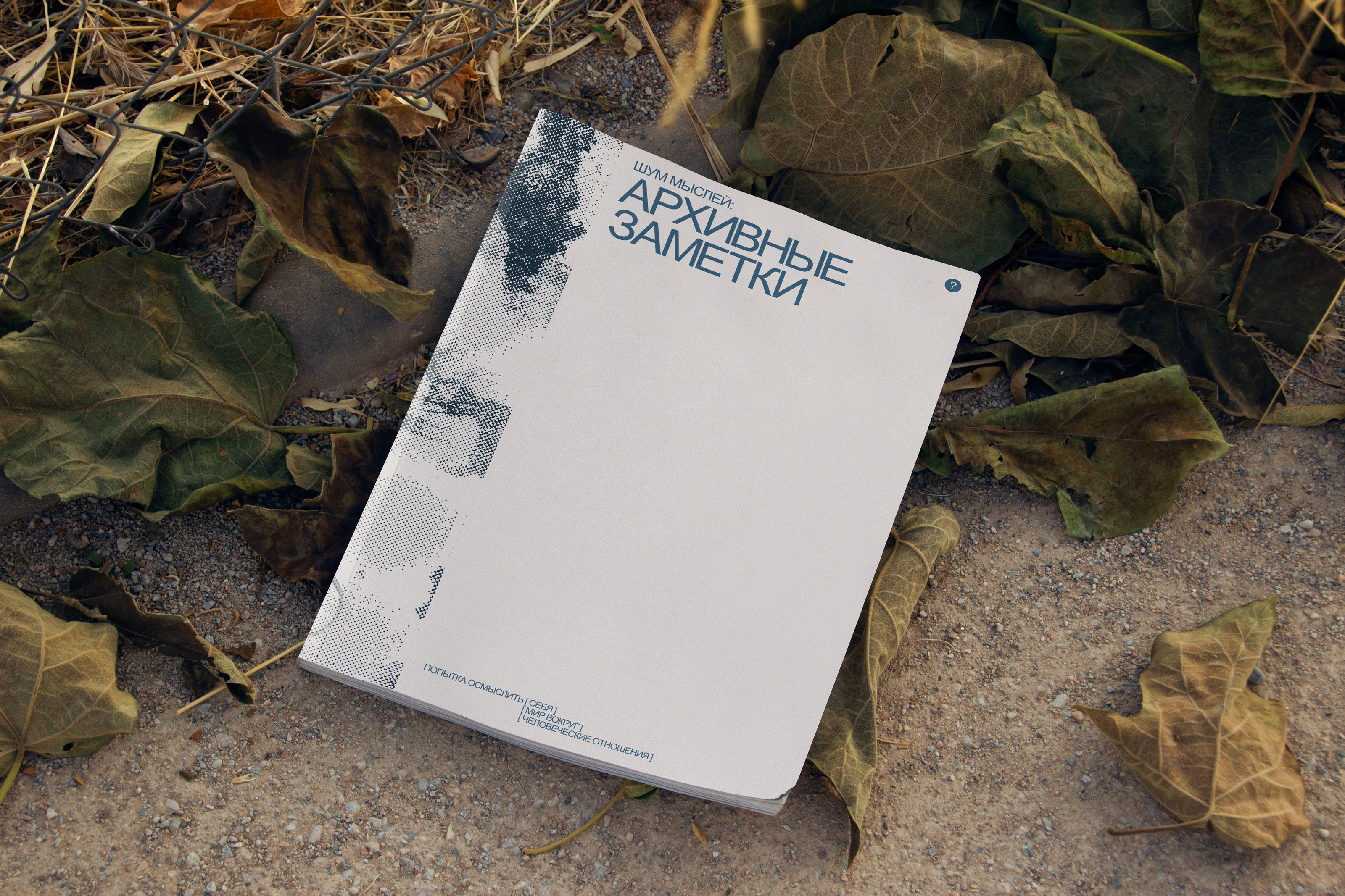 ZINE ARCHIVAL NOTES [ зин архивные заметки ] — Изображение №1 — Графика на Dprofile