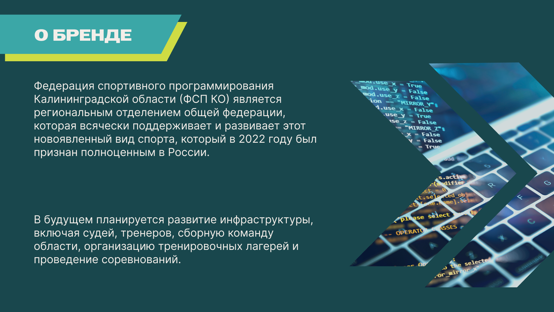 Брендбук для Федерации Спортивного Программирования — Изображение №2 — Брендинг, Маркетинг на Dprofile