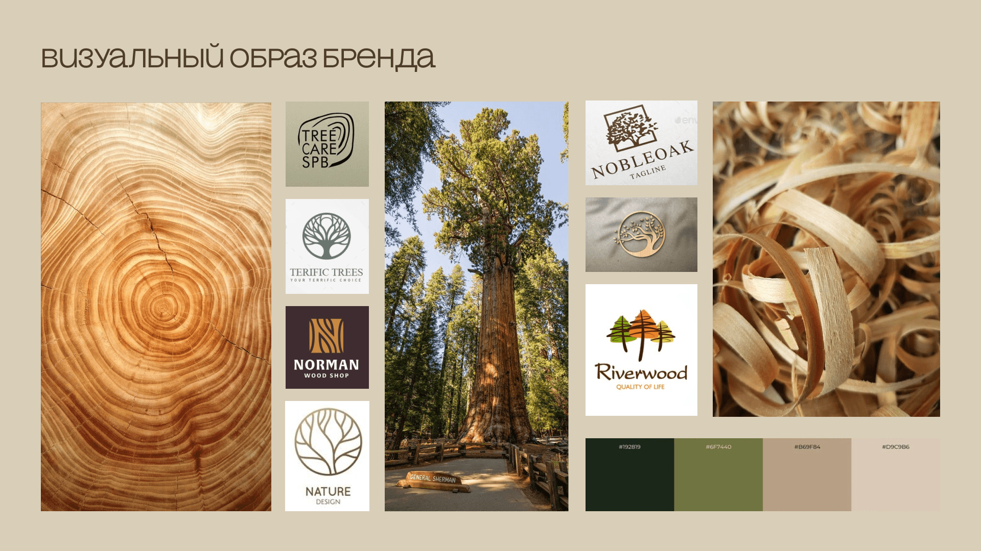 Разработка фирменного стиля для "Sequoia studio" — Изображение №4 — Брендинг на Dprofile