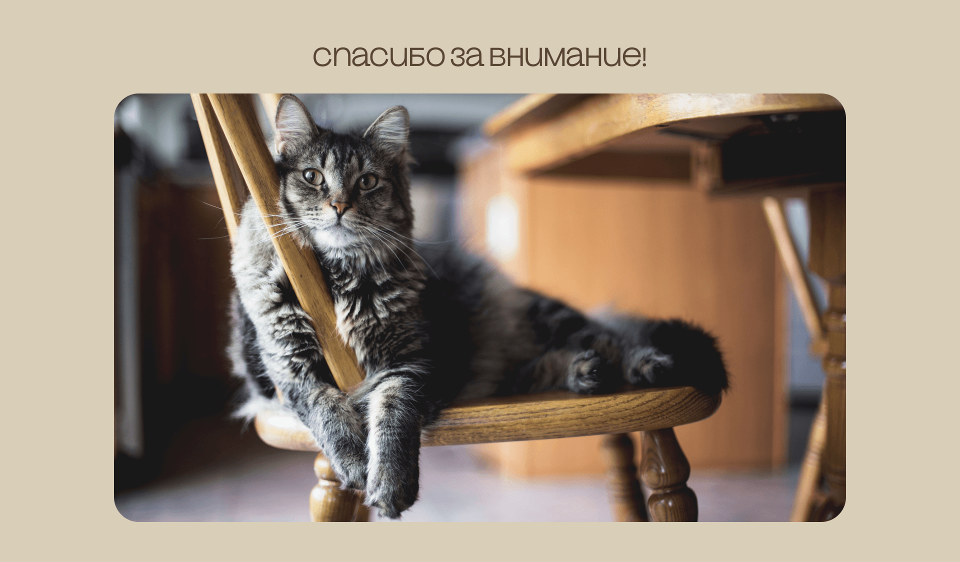 Разработка фирменного стиля для "Sequoia studio" — Изображение №21 — Брендинг на Dprofile