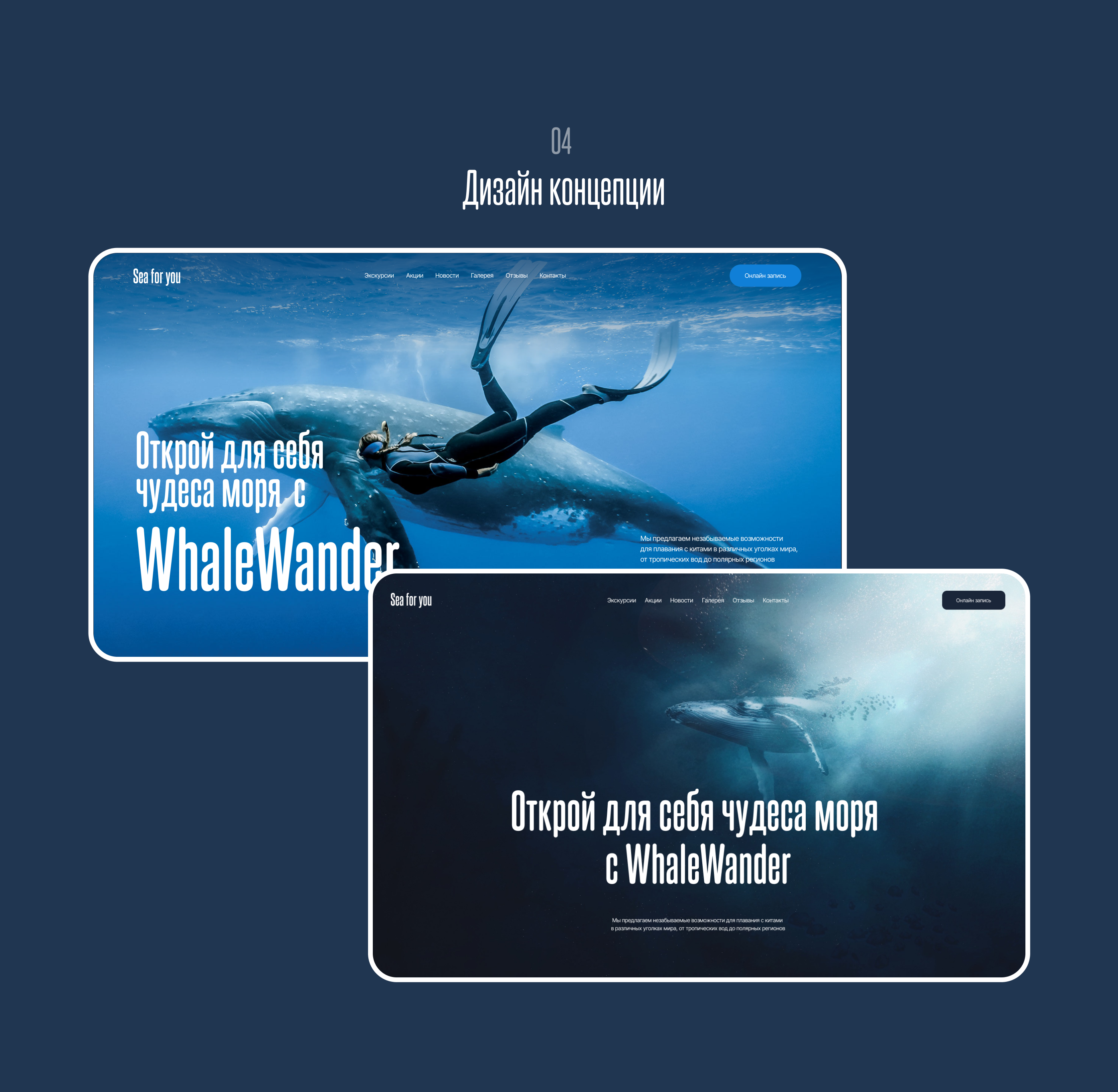 Landing page for WhaleWander — Изображение №5 — Анимация, Интерфейсы на Dprofile