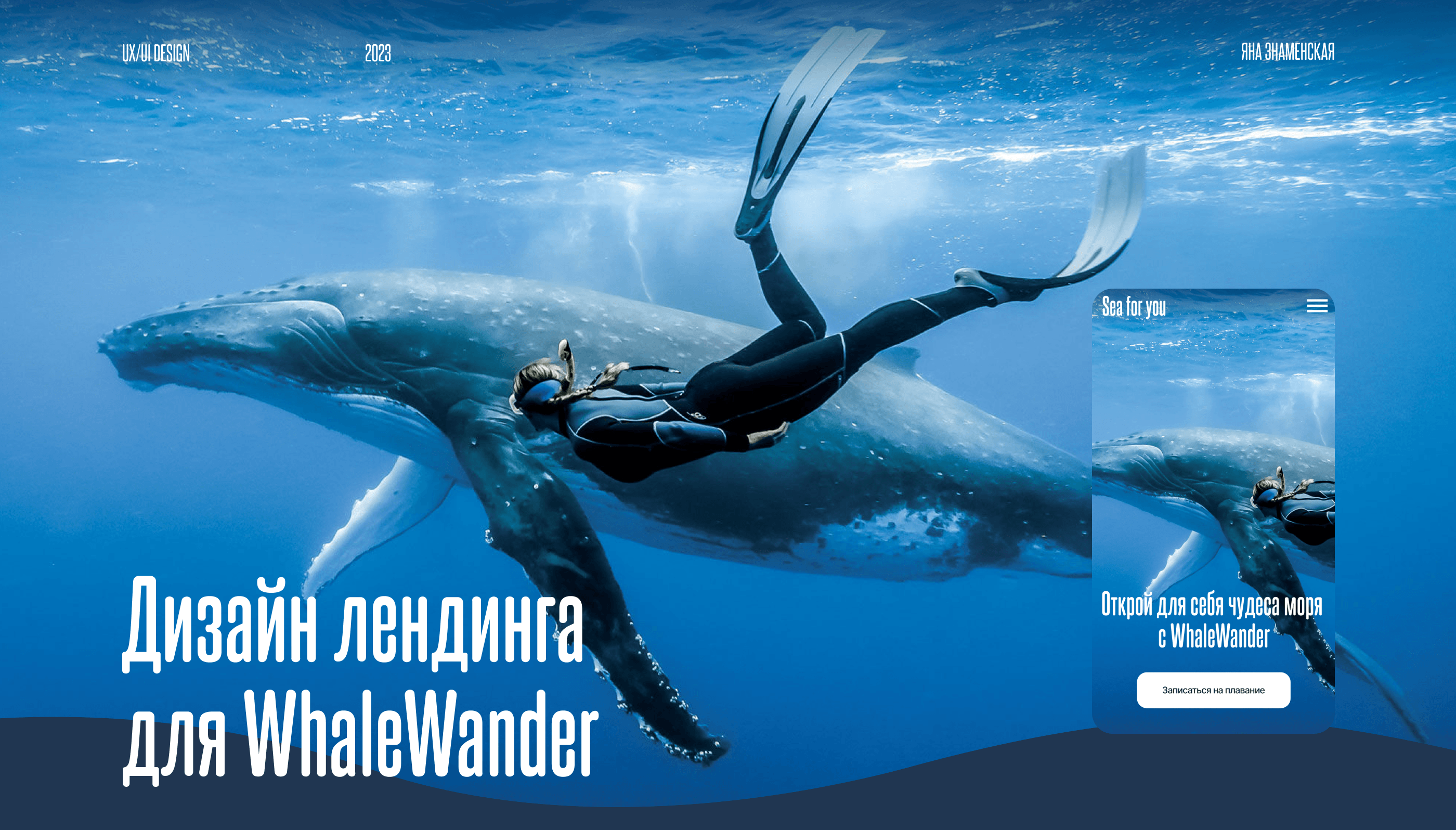 Landing page for WhaleWander — Изображение №1 — Анимация, Интерфейсы на Dprofile