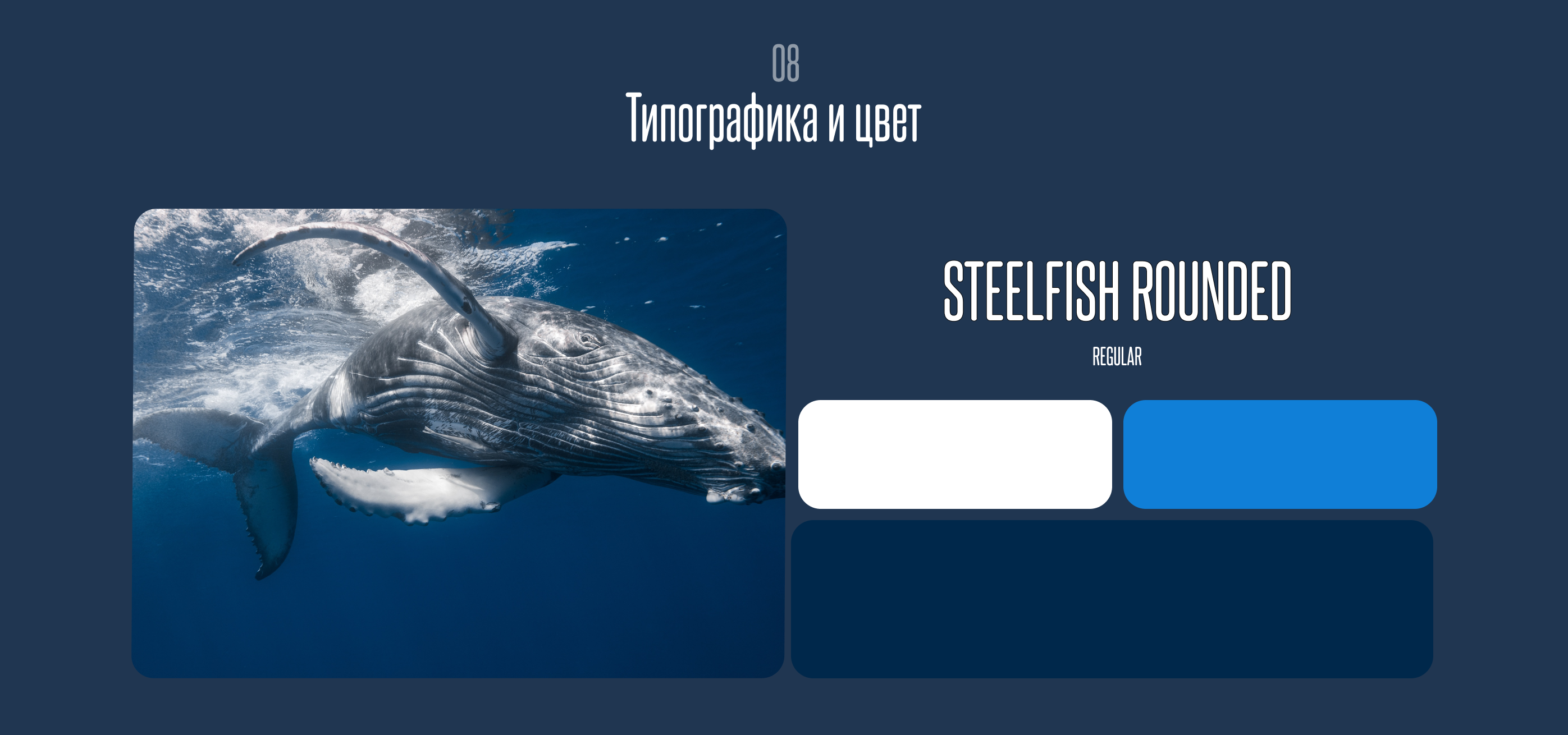 Landing page for WhaleWander — Изображение №7 — Анимация, Интерфейсы на Dprofile