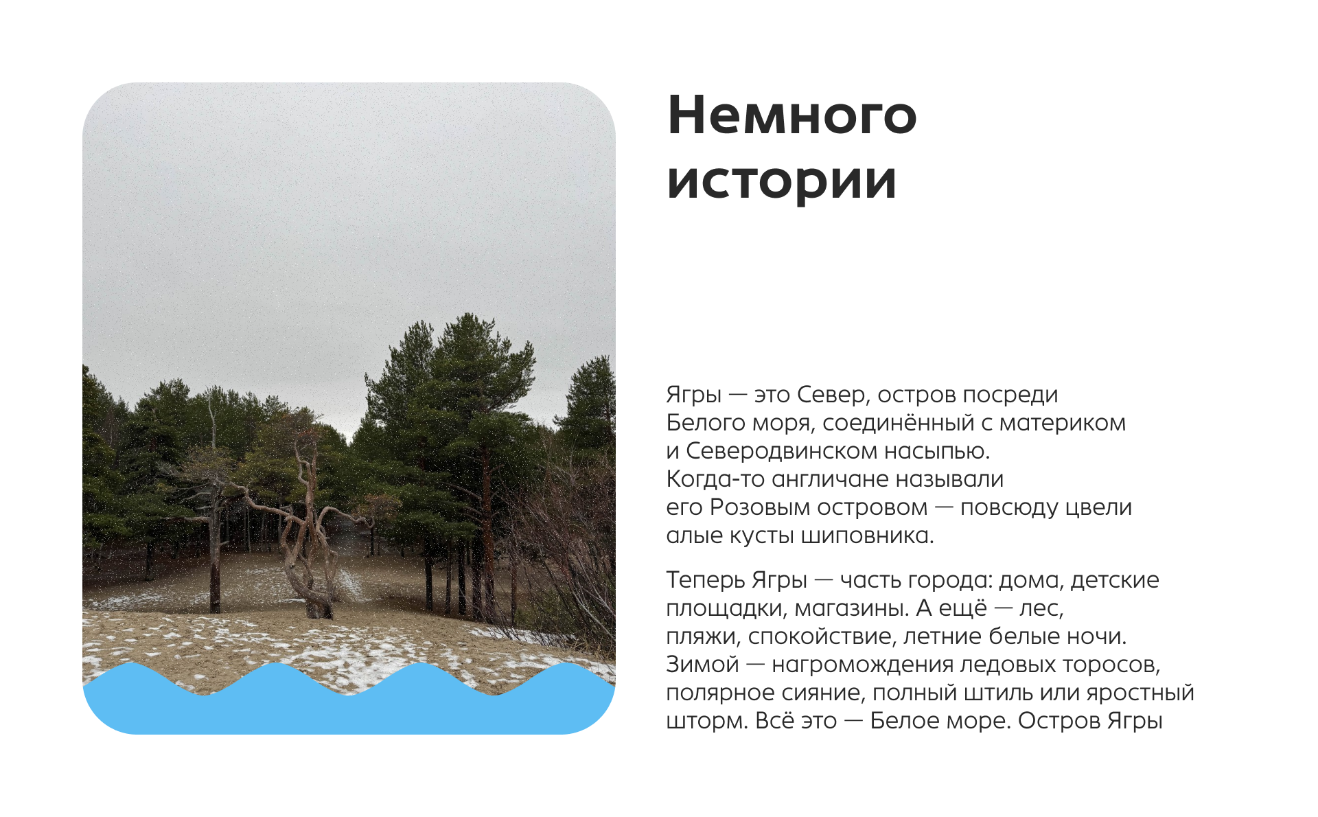 Остров Ягры — Изображение №2 — Брендинг на Dprofile
