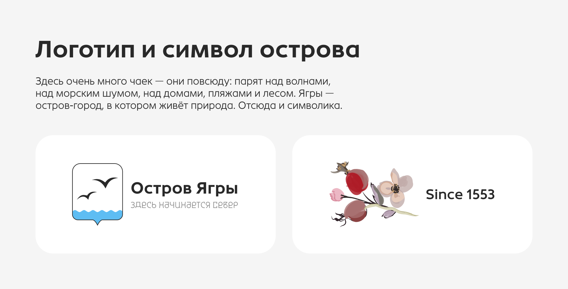 Остров Ягры — Изображение №3 — Брендинг на Dprofile