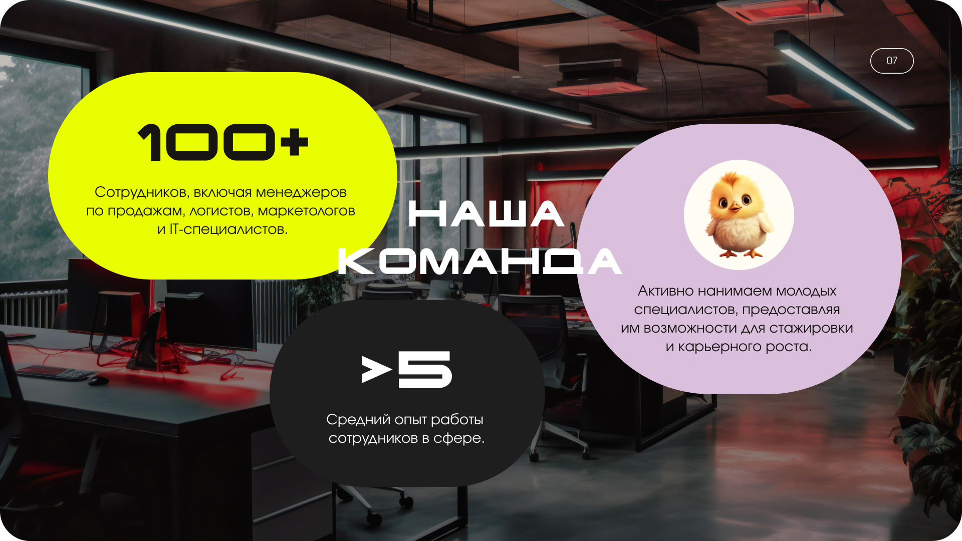 Презентация Wholesaler — Изображение №13 — Маркетинг на Dprofile