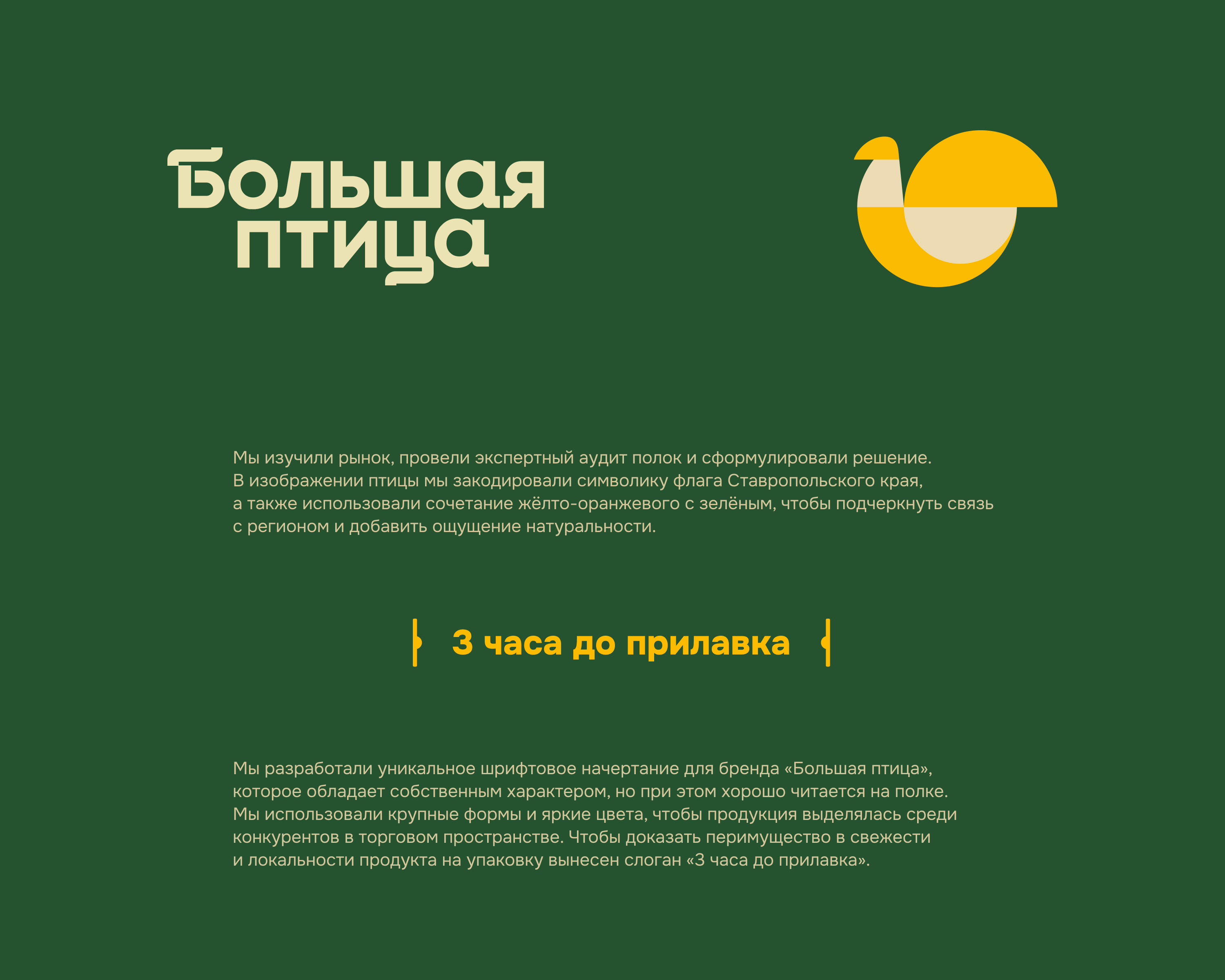 Большая птица — Изображение №4 — Брендинг на Dprofile