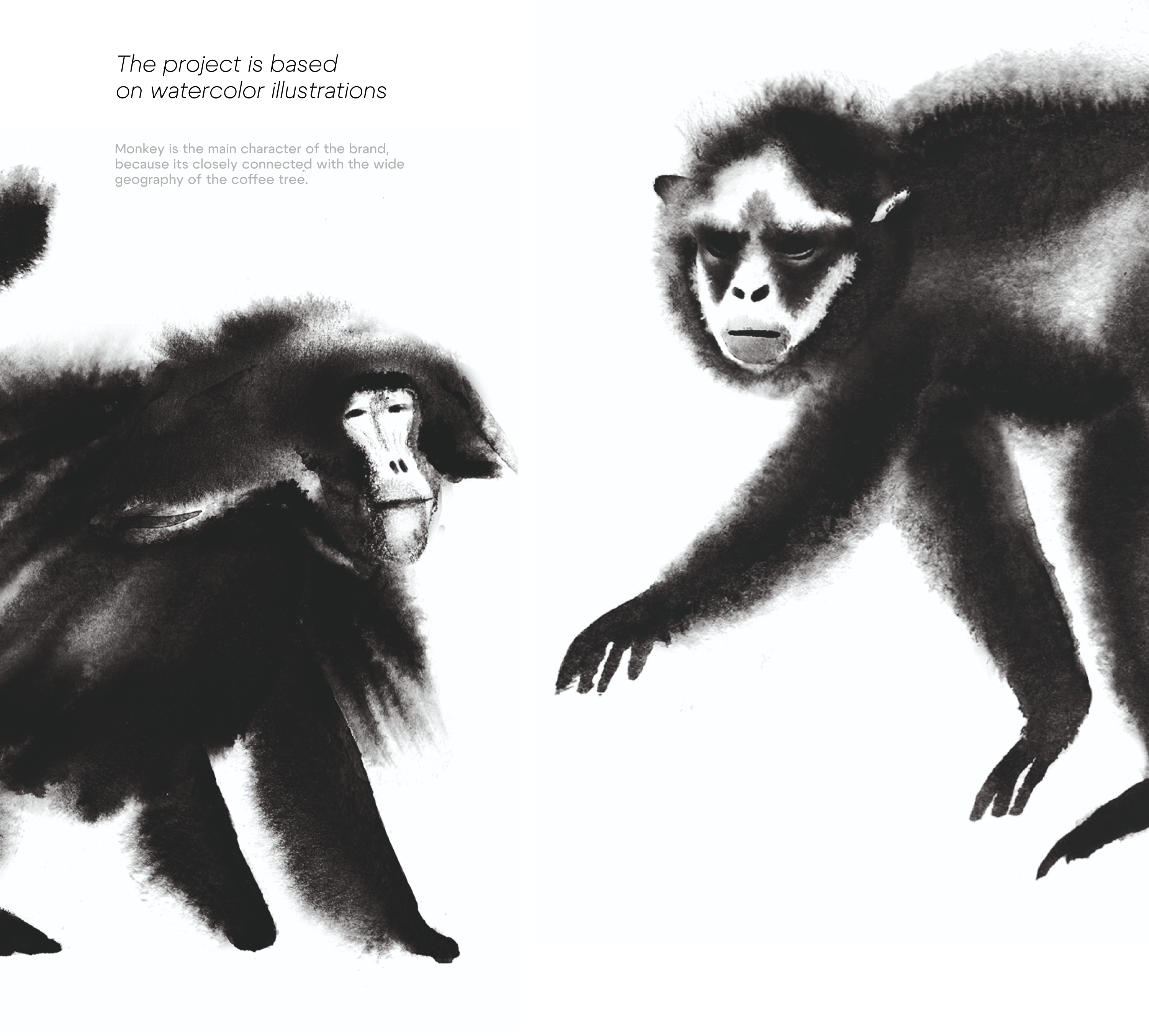Monkey Forest — Изображение №4 — Брендинг на Dprofile
