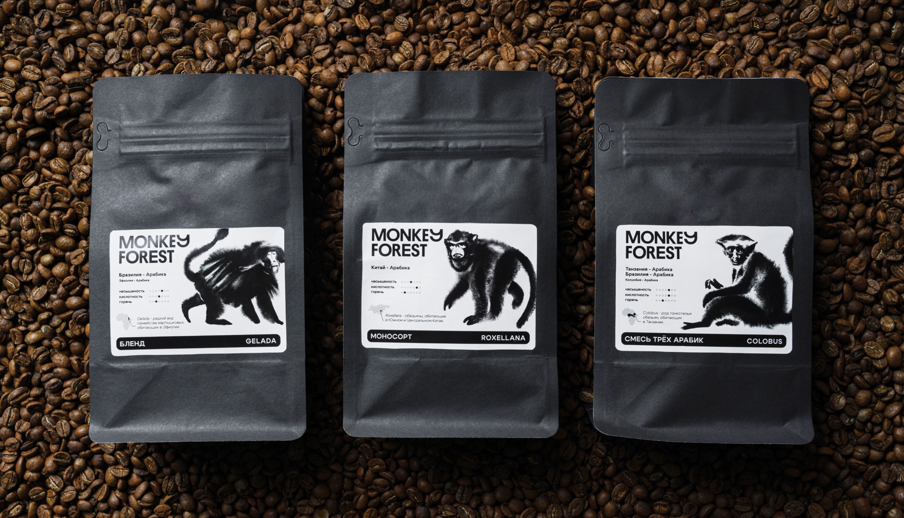 Monkey Forest — Изображение №1 — Брендинг на Dprofile